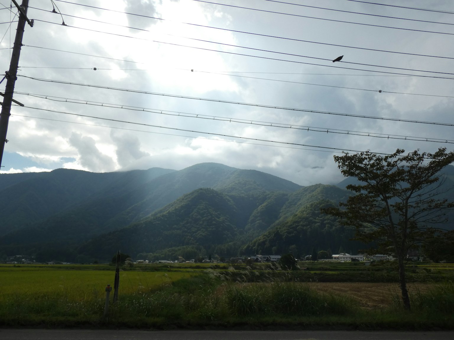ทิวทัศน์ที่มีภูเขาและนาข้าวพร้อมสายไฟ