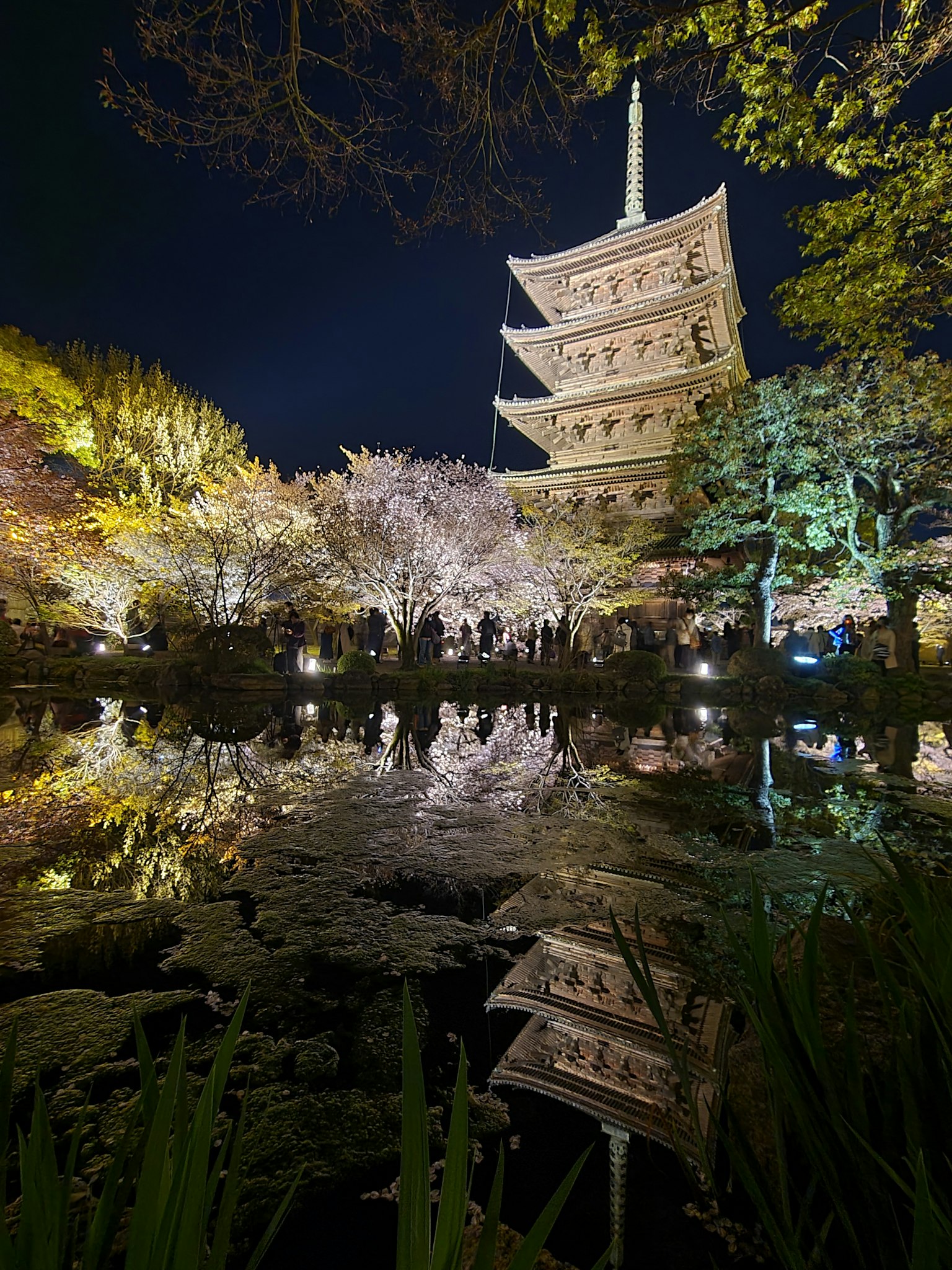 夜间照亮的五层塔与池塘中的樱花倒影