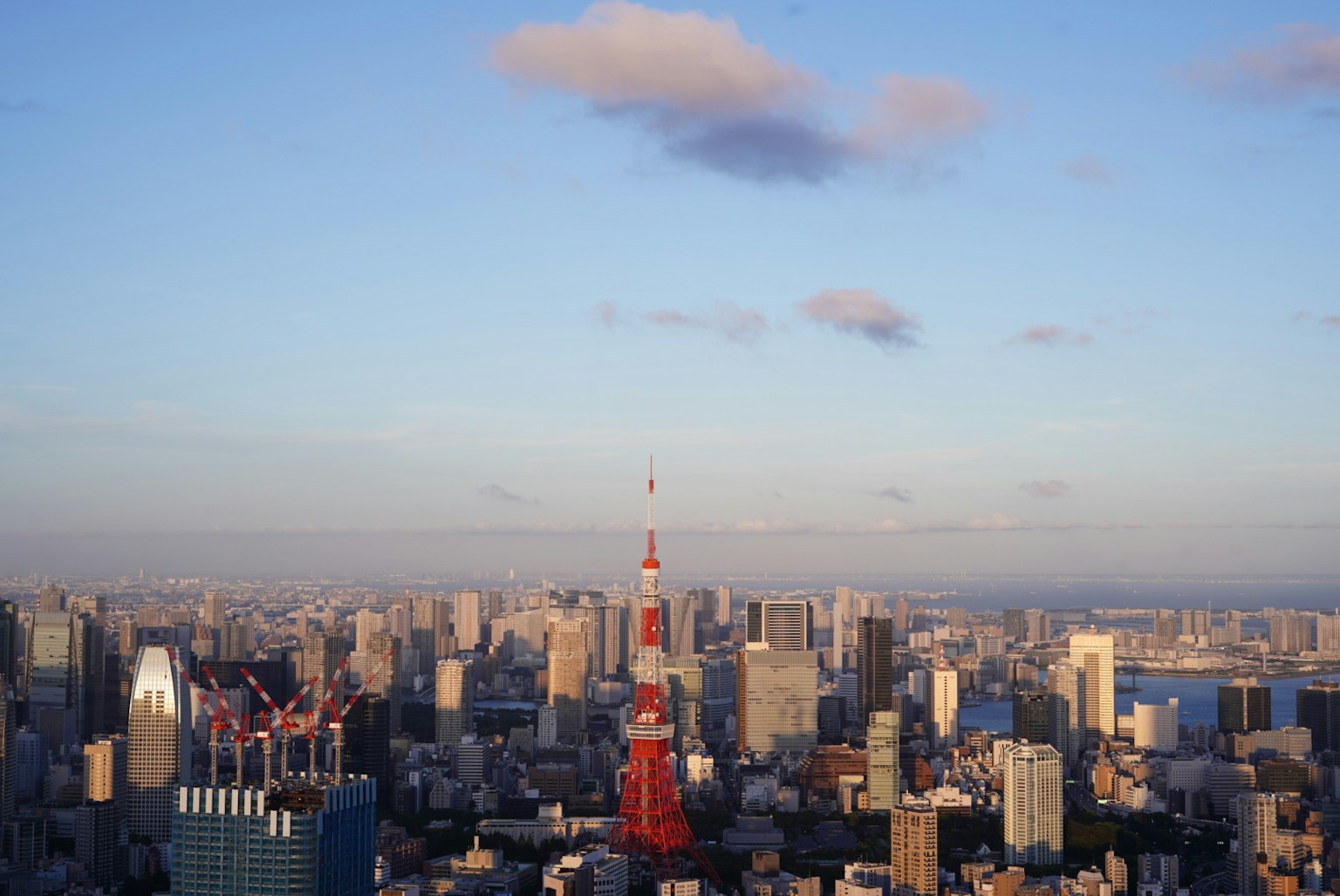 Vista panoramica di Tokyo con la Torre di Tokyo e lo skyline