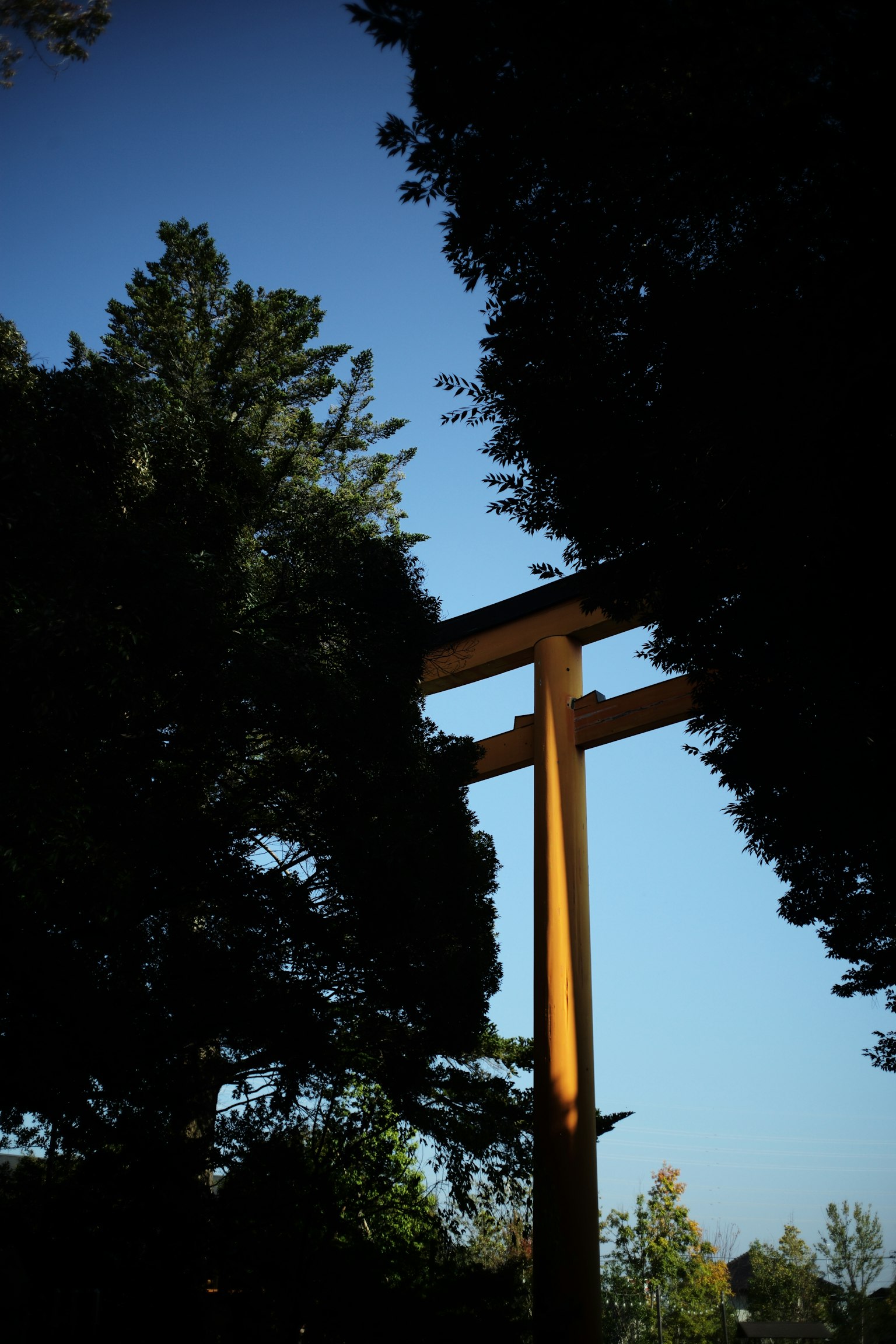 Gelbes Torii umgeben von grünen Bäumen unter einem blauen Himmel