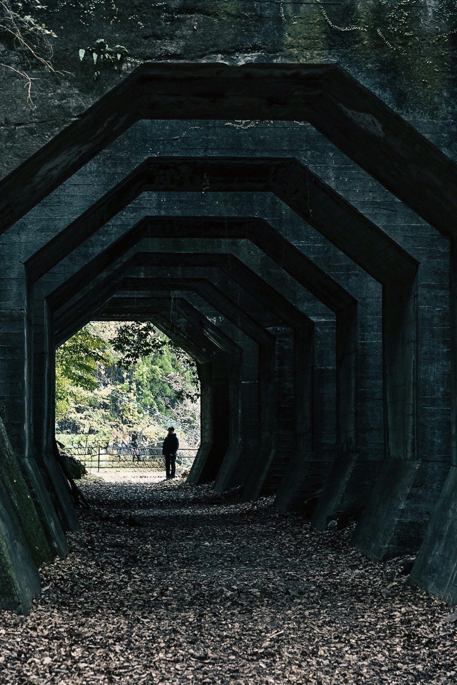 暗いトンネルの中に立つ人物と周囲の自然