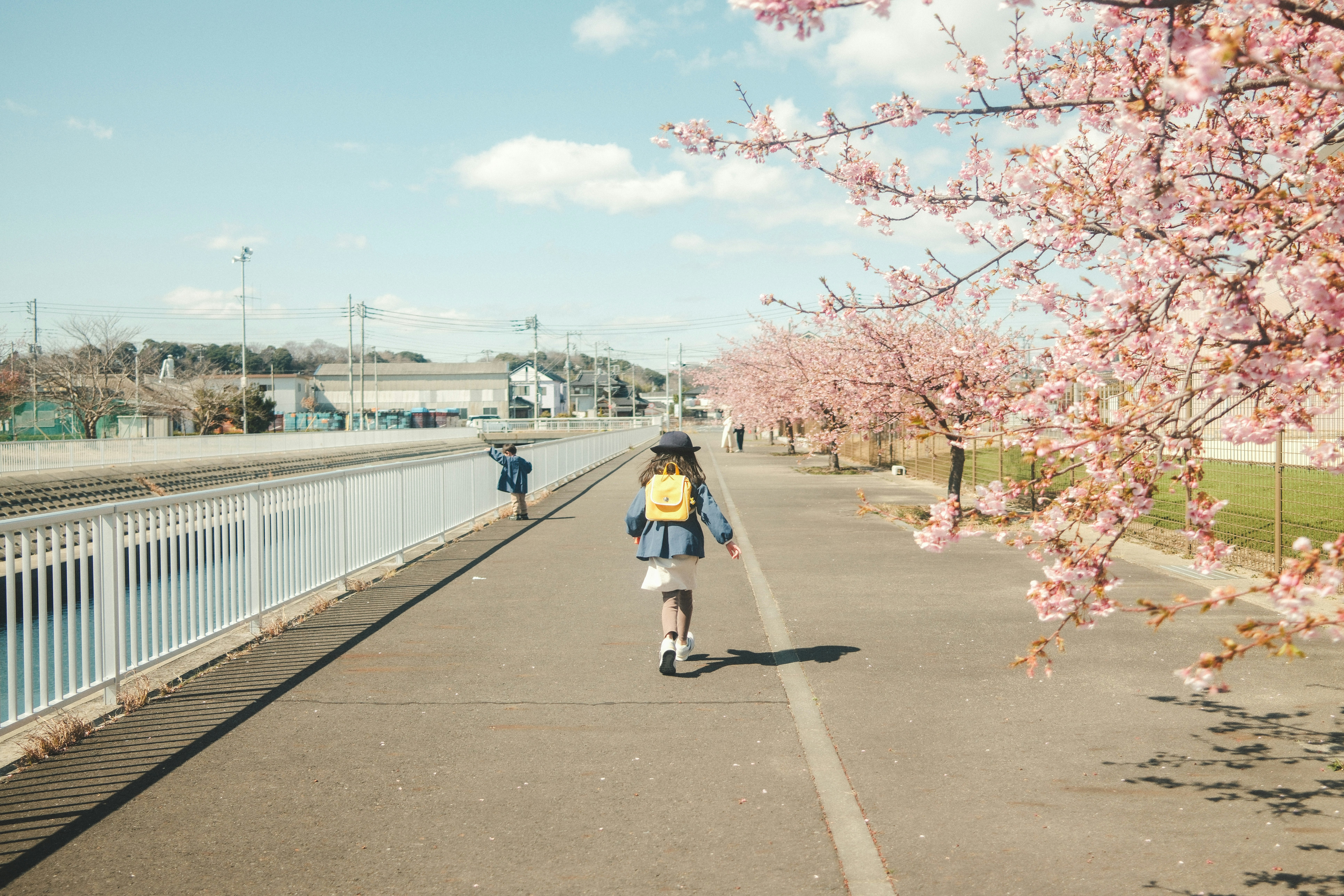 Orang-orang berjalan di sepanjang jalan setapak berbunga sakura