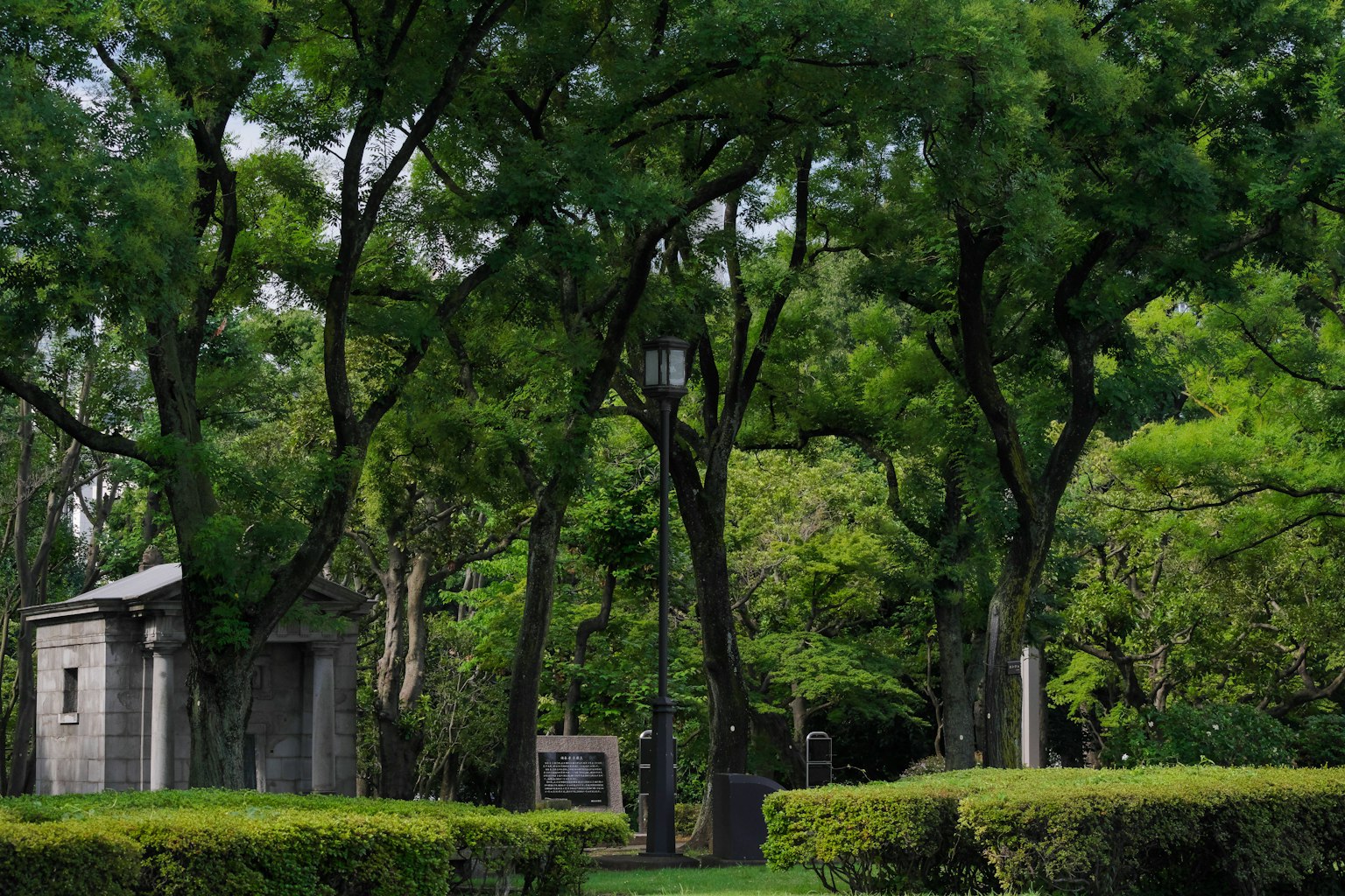 ทิวทัศน์สวนที่เขียวขจี มีโรงเก่าและต้นไม้ใหญ่
