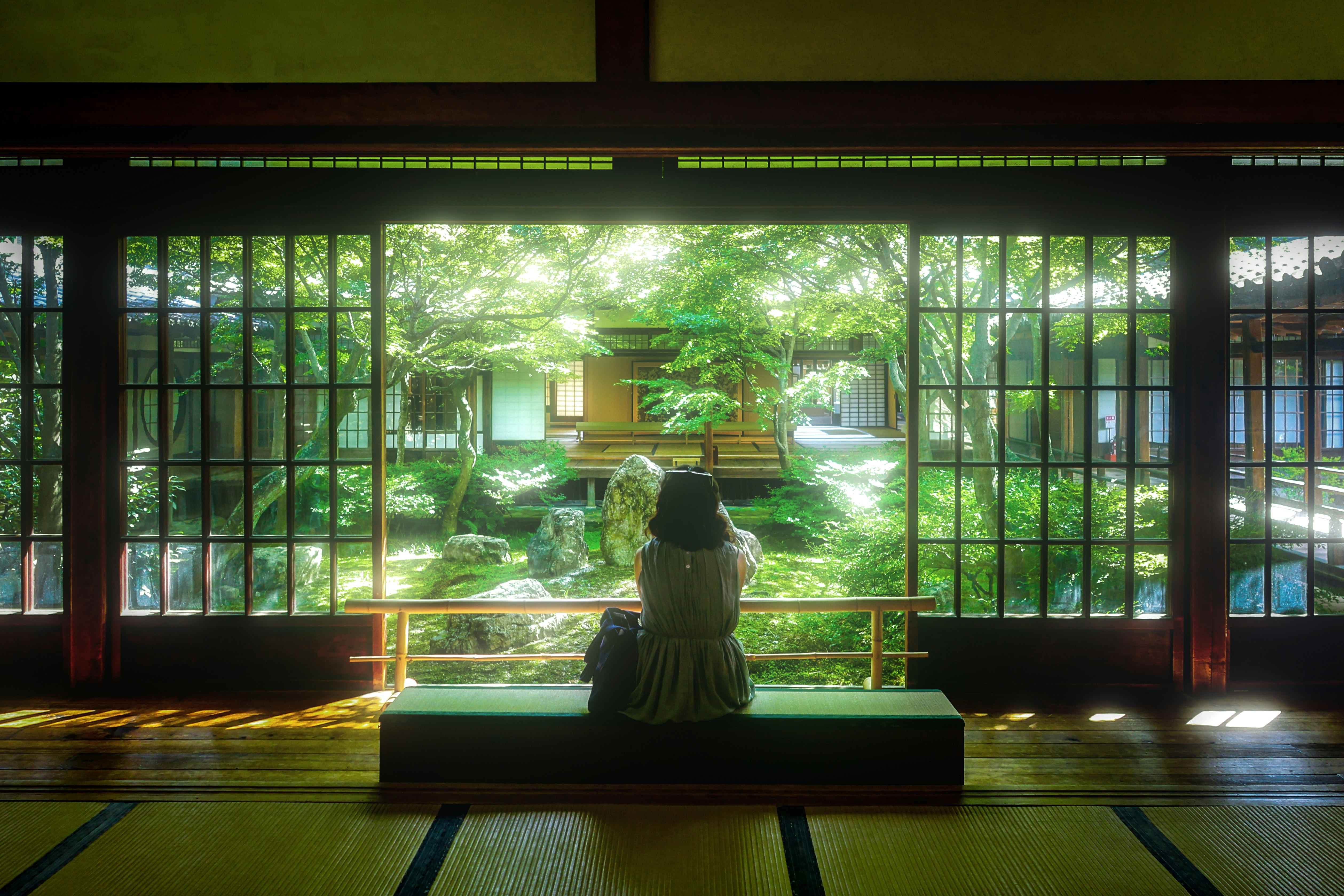 緑の庭を望む和室の縁側で座る人物