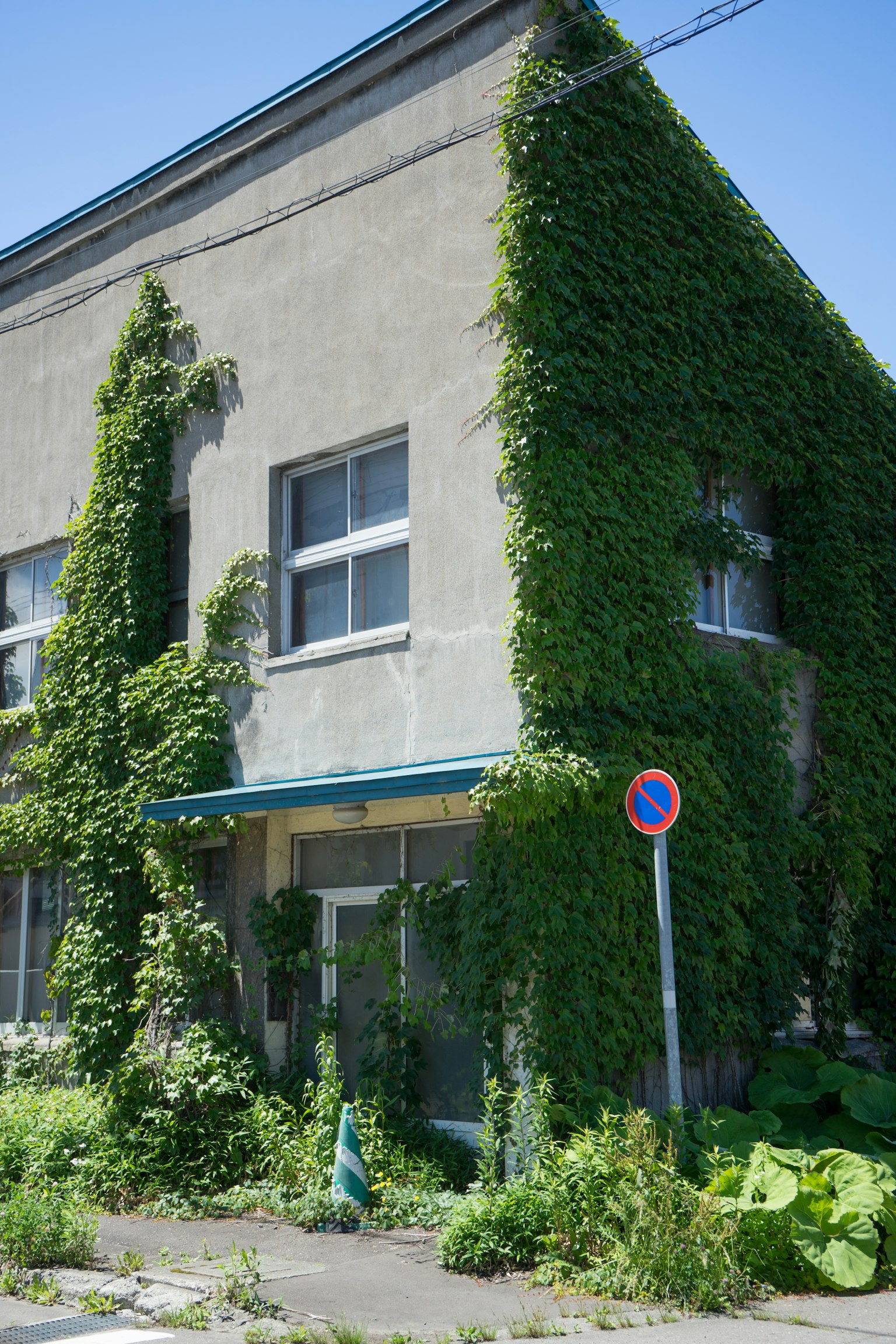 Edificio antiguo cubierto de vides verdes con grandes ventanas
