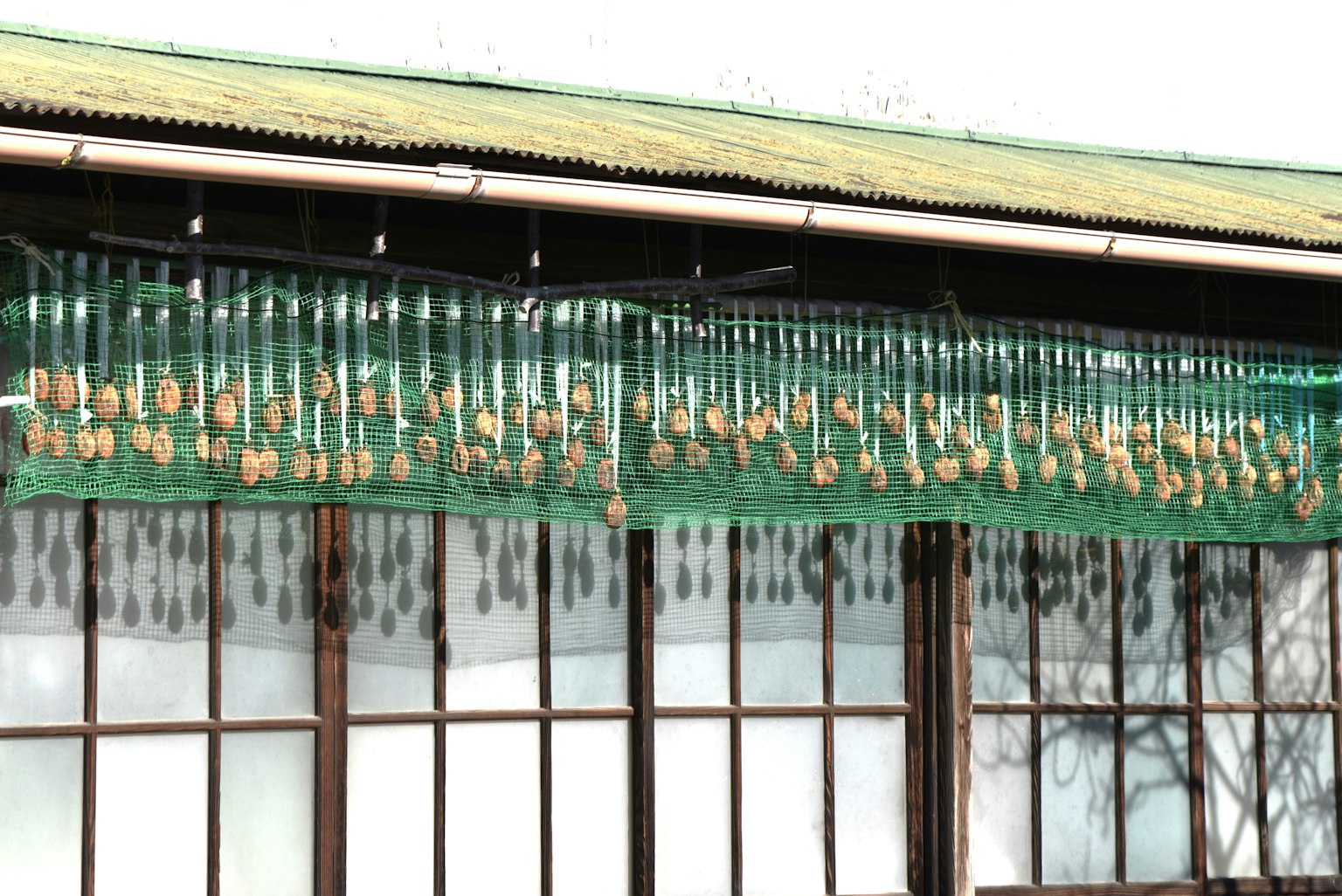 Bâtiment traditionnel japonais avec des carillons éoliens suspendus à un filet vert