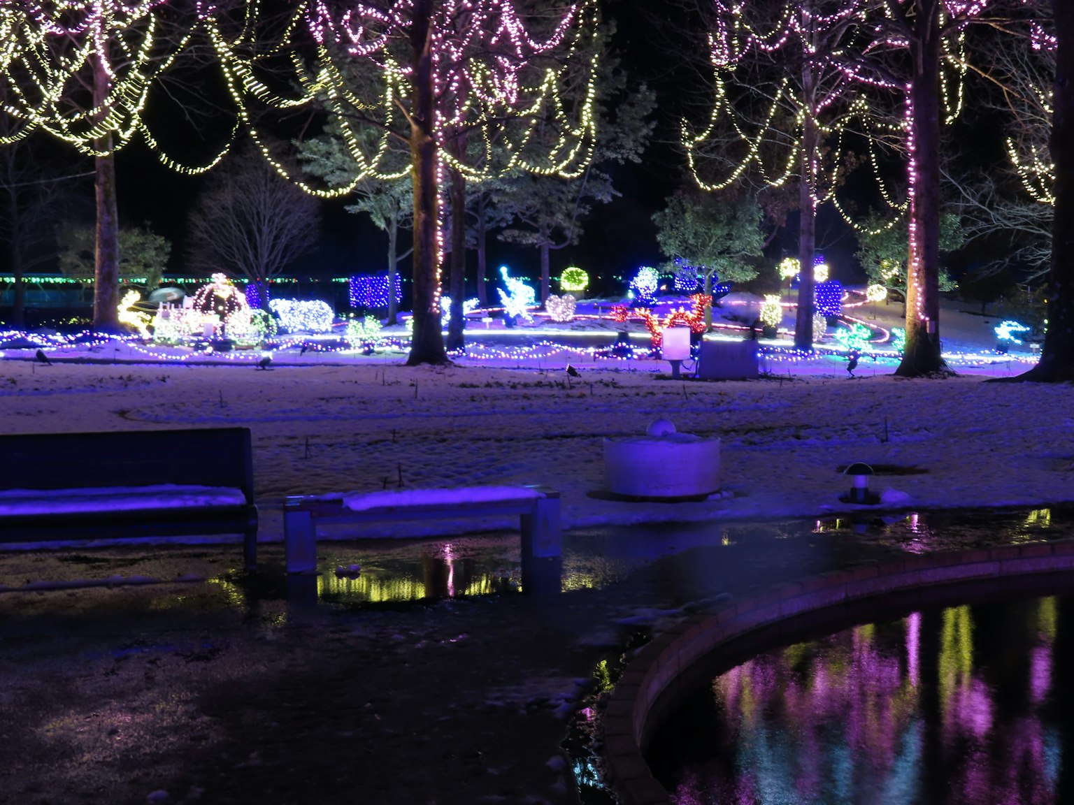 Parco illuminato di notte con luci colorate e riflessi nell'acqua