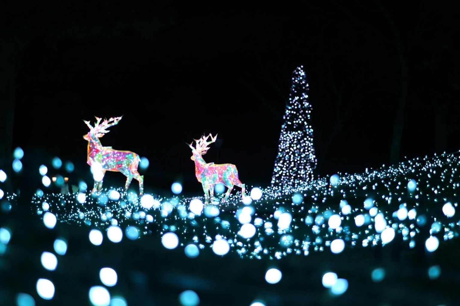 Two colorful reindeer surrounded by glowing lights with a Christmas tree in the background