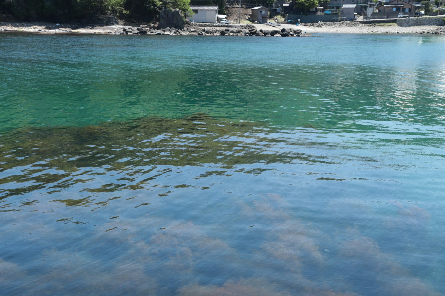海岸景观，清澈的水面下可见水下海藻