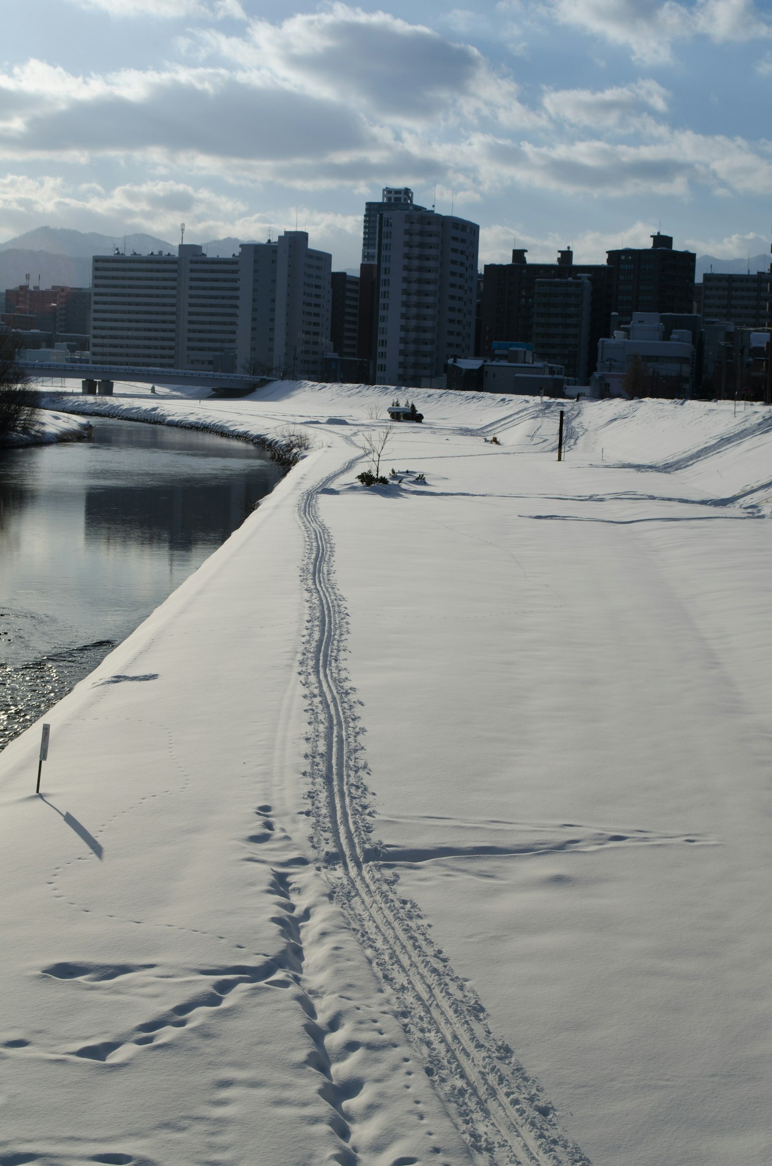 被雪覆盖的河岸和背景中的建筑