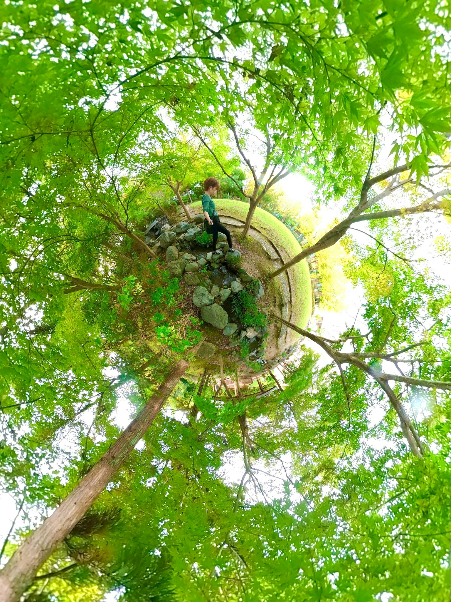Persona de pie en un árbol rodeada de hojas verdes exuberantes