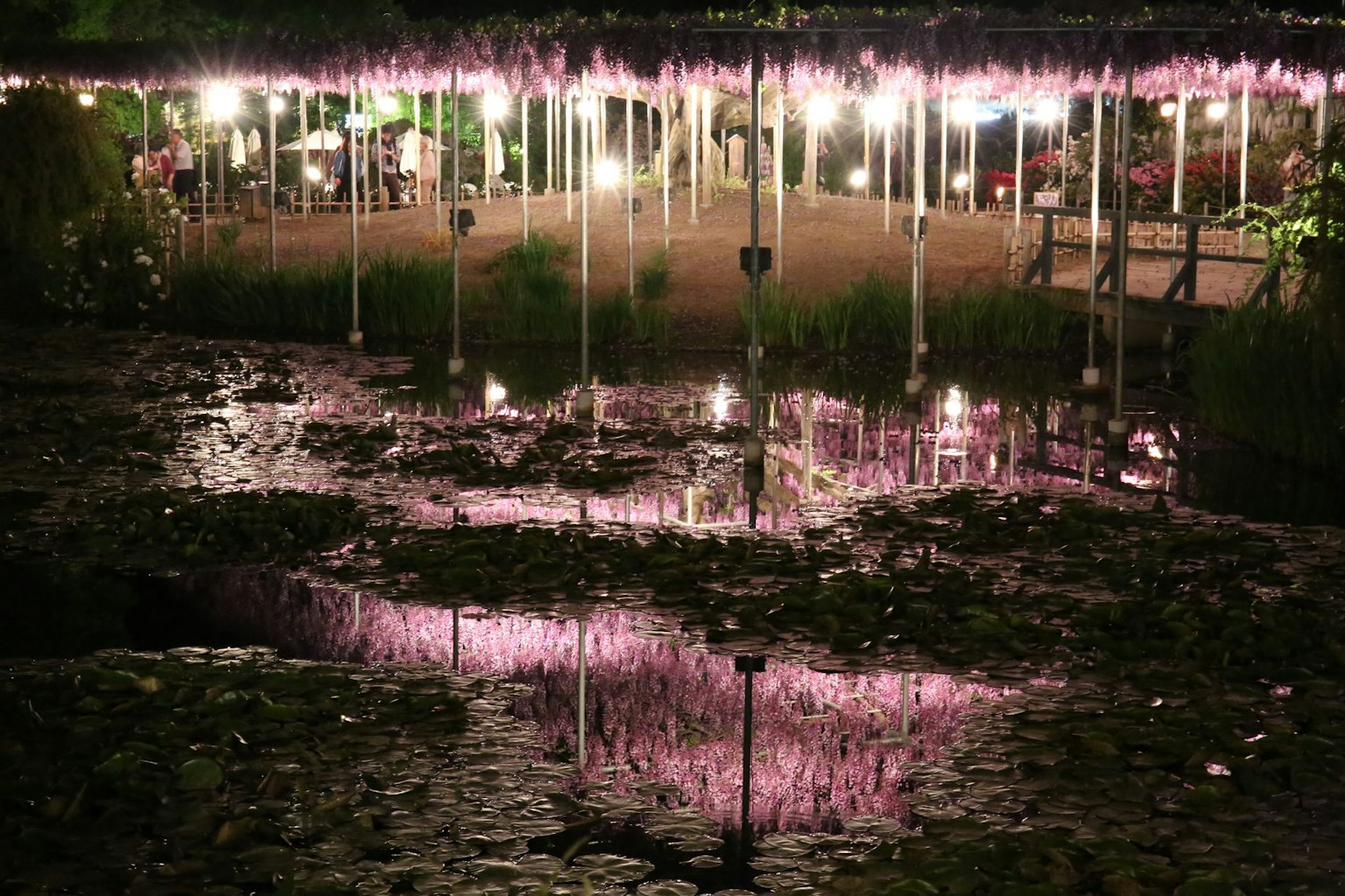 ทิวทัศน์ยามค่ำคืนที่สวยงามพร้อมแสงสีชมพูสะท้อนบนผิวน้ำของบ่อ