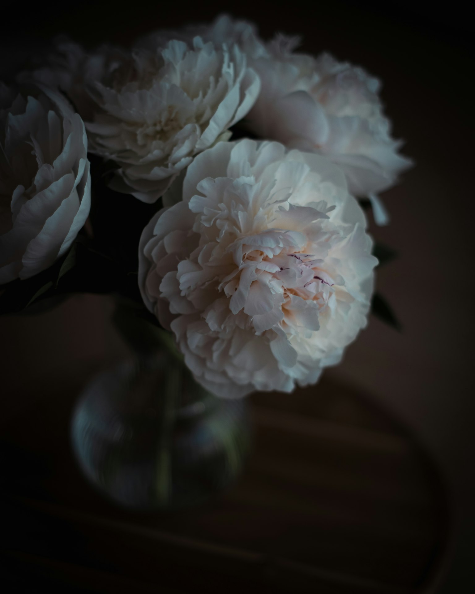 Pale peonies arranged in a glass vase with a dark background