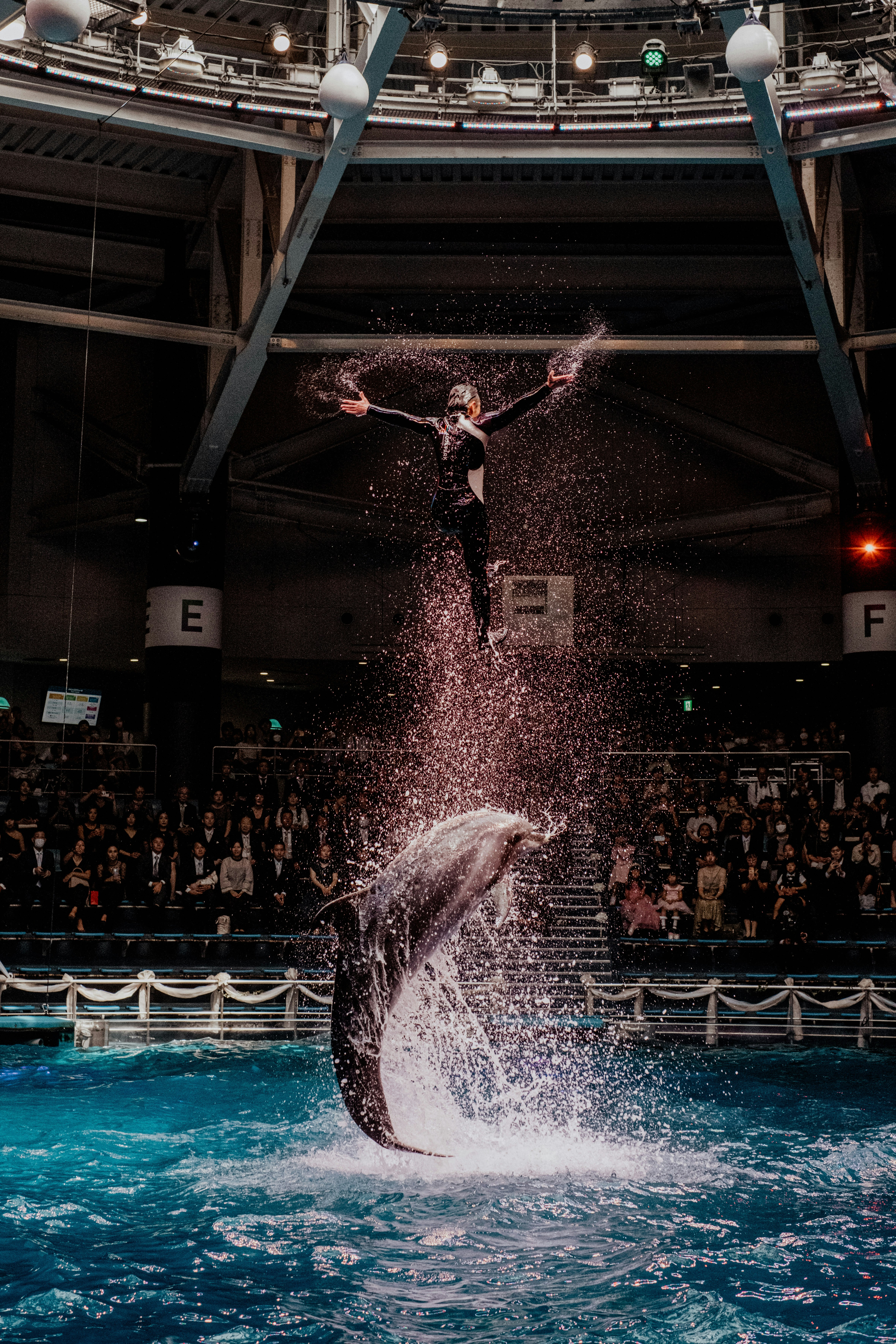 Plongeur en plein saut dans une arène intérieure avec une gerbe d’eau
