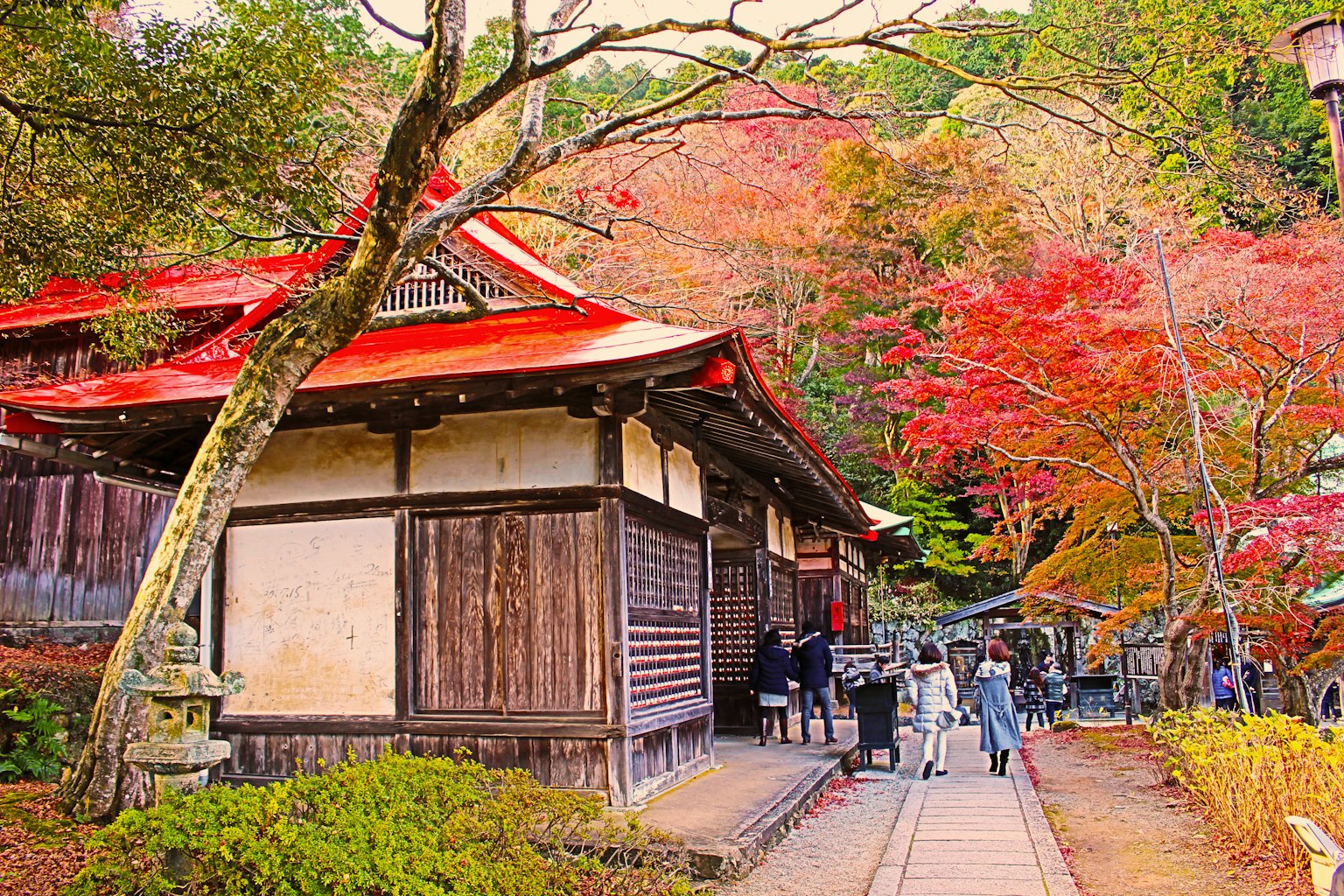 被秋季树叶环绕的传统日本建筑和行走的人们