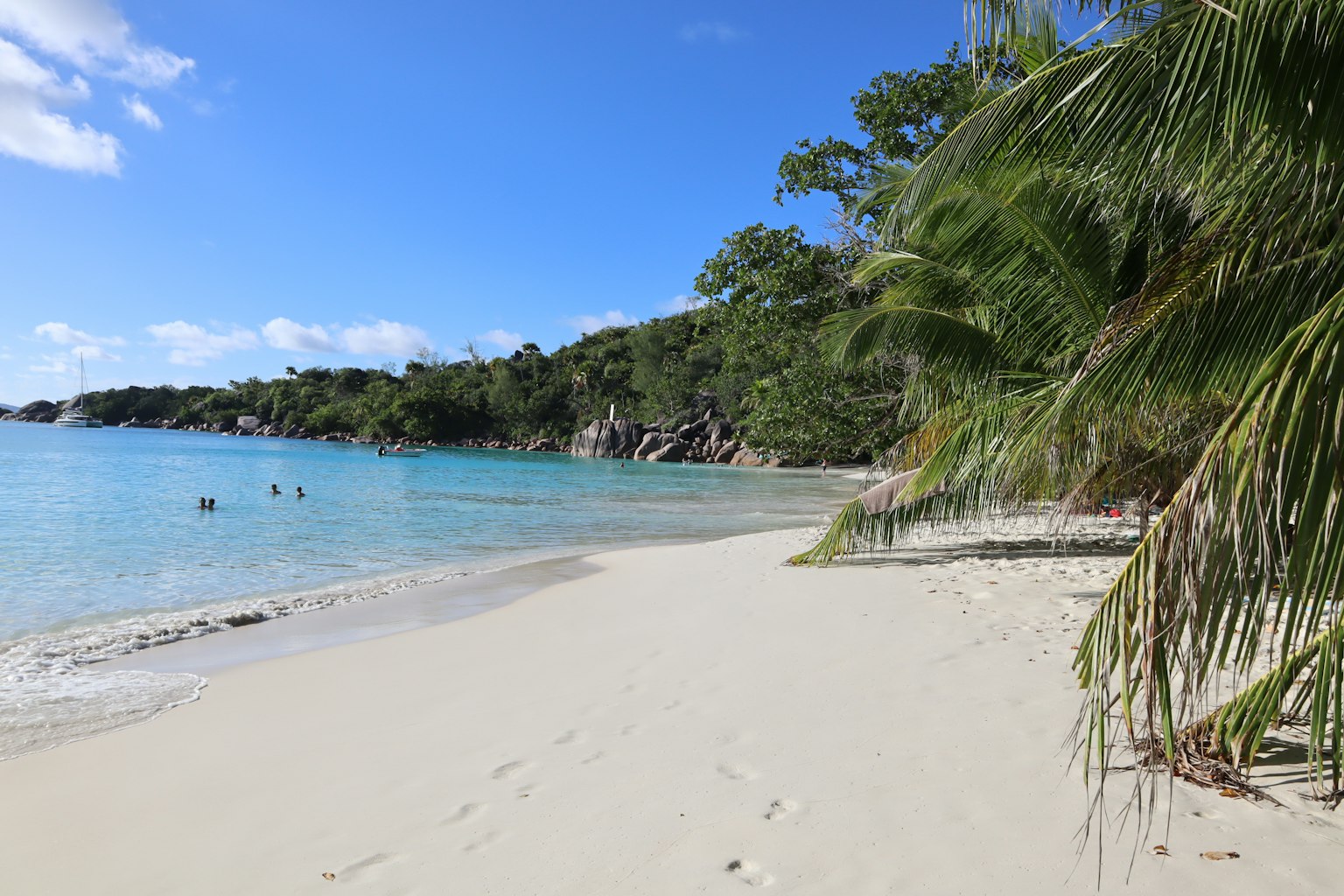 Vista di spiaggia panoramica con acqua blu e sabbia bianca palme in primo piano