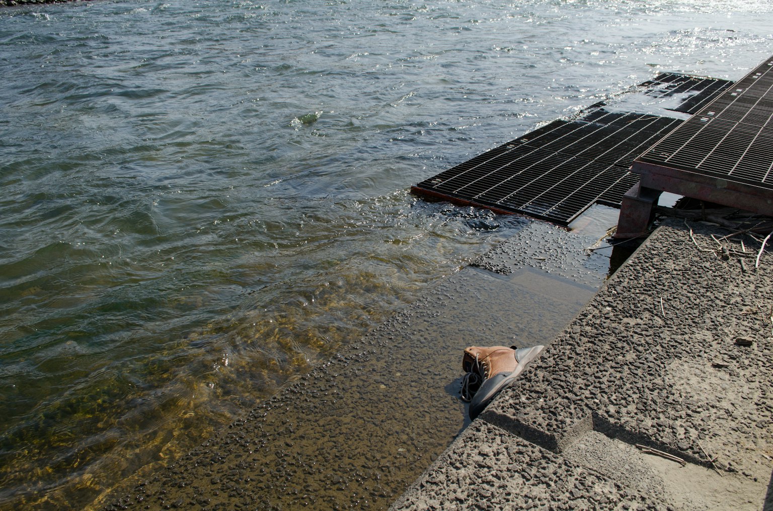 Vista panoramica dell'acqua e della riva con un molo in legno