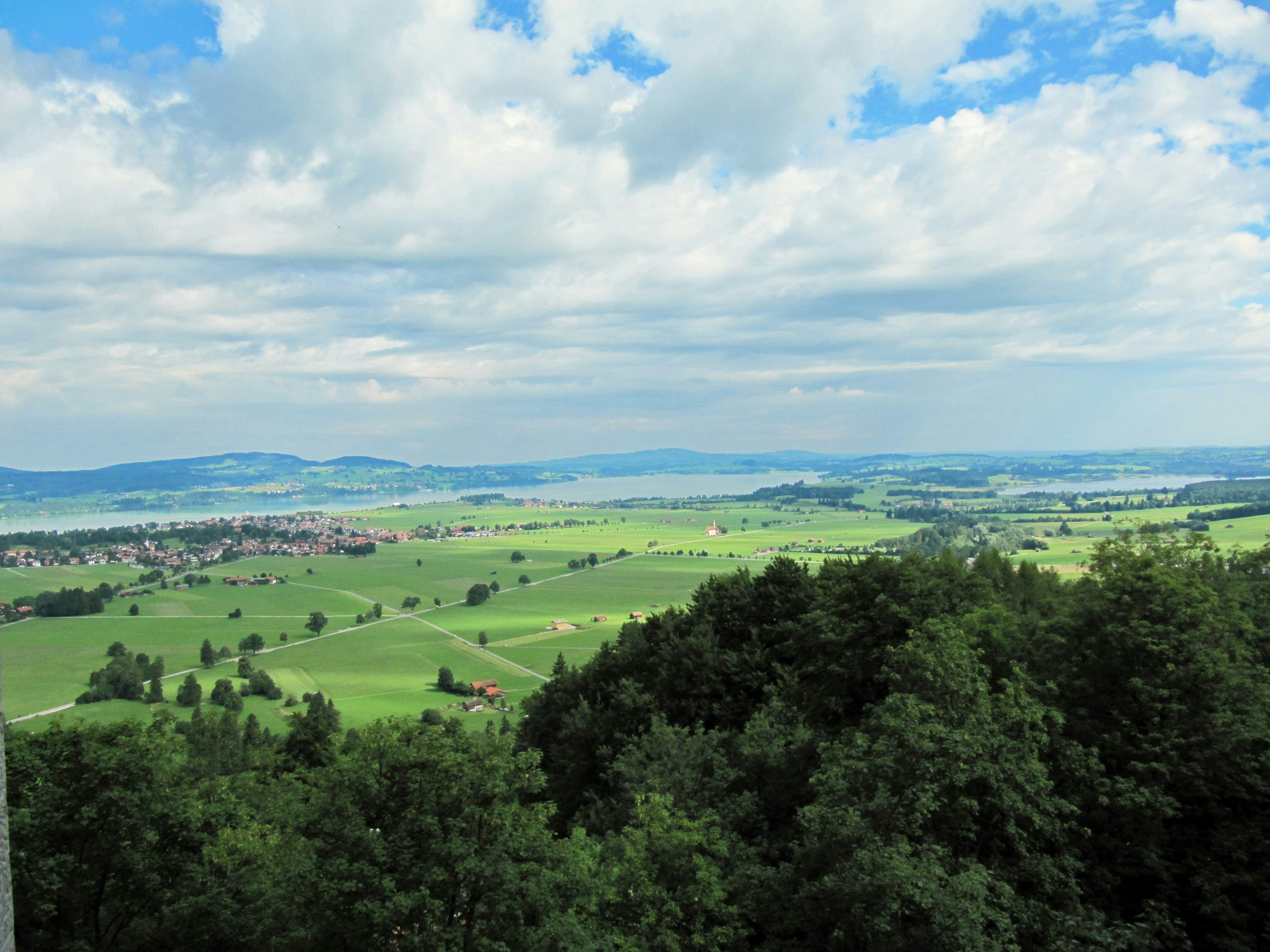 green rolling hills and forested countryside landscape