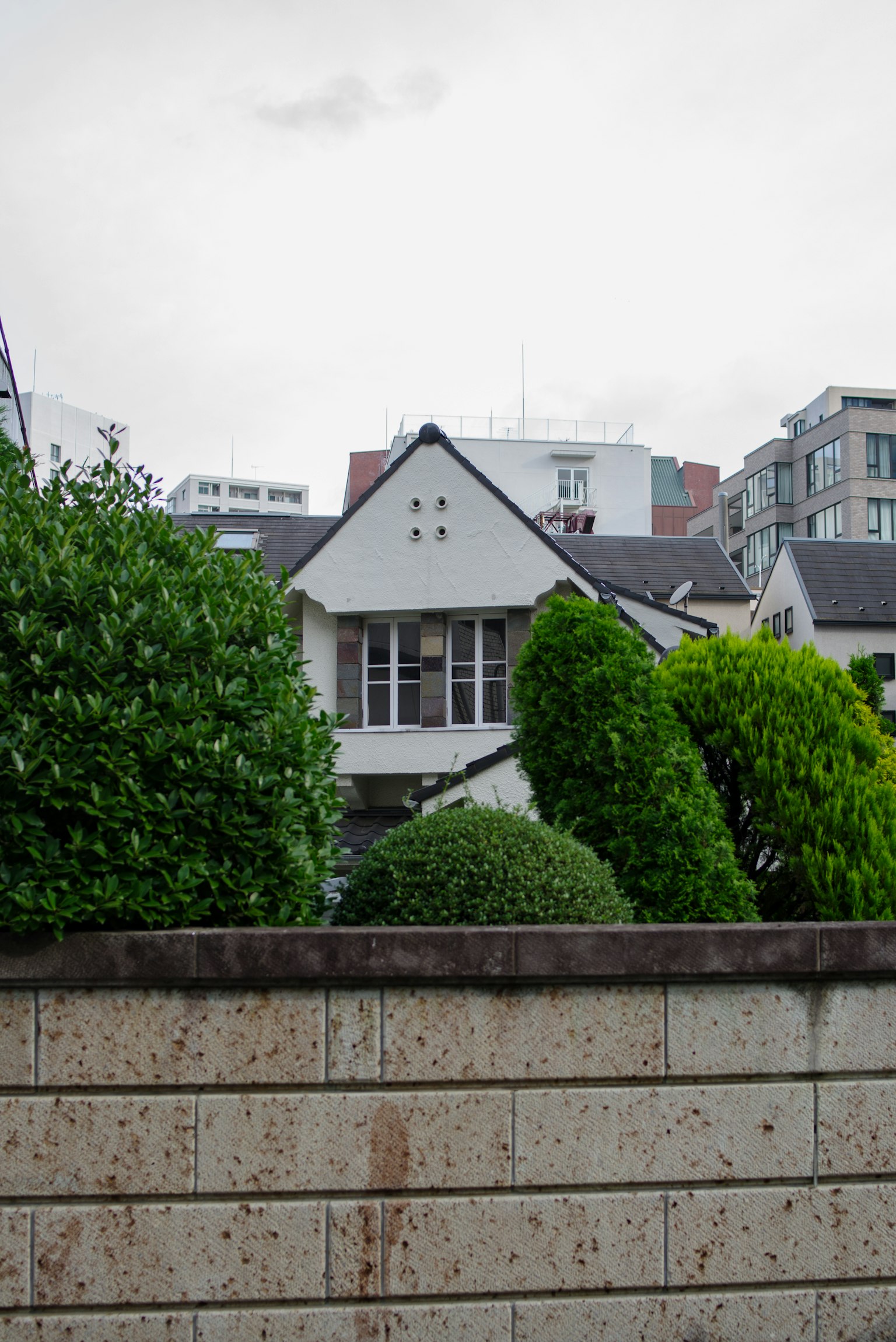Una escena residencial con arbustos verdes y un edificio blanco
