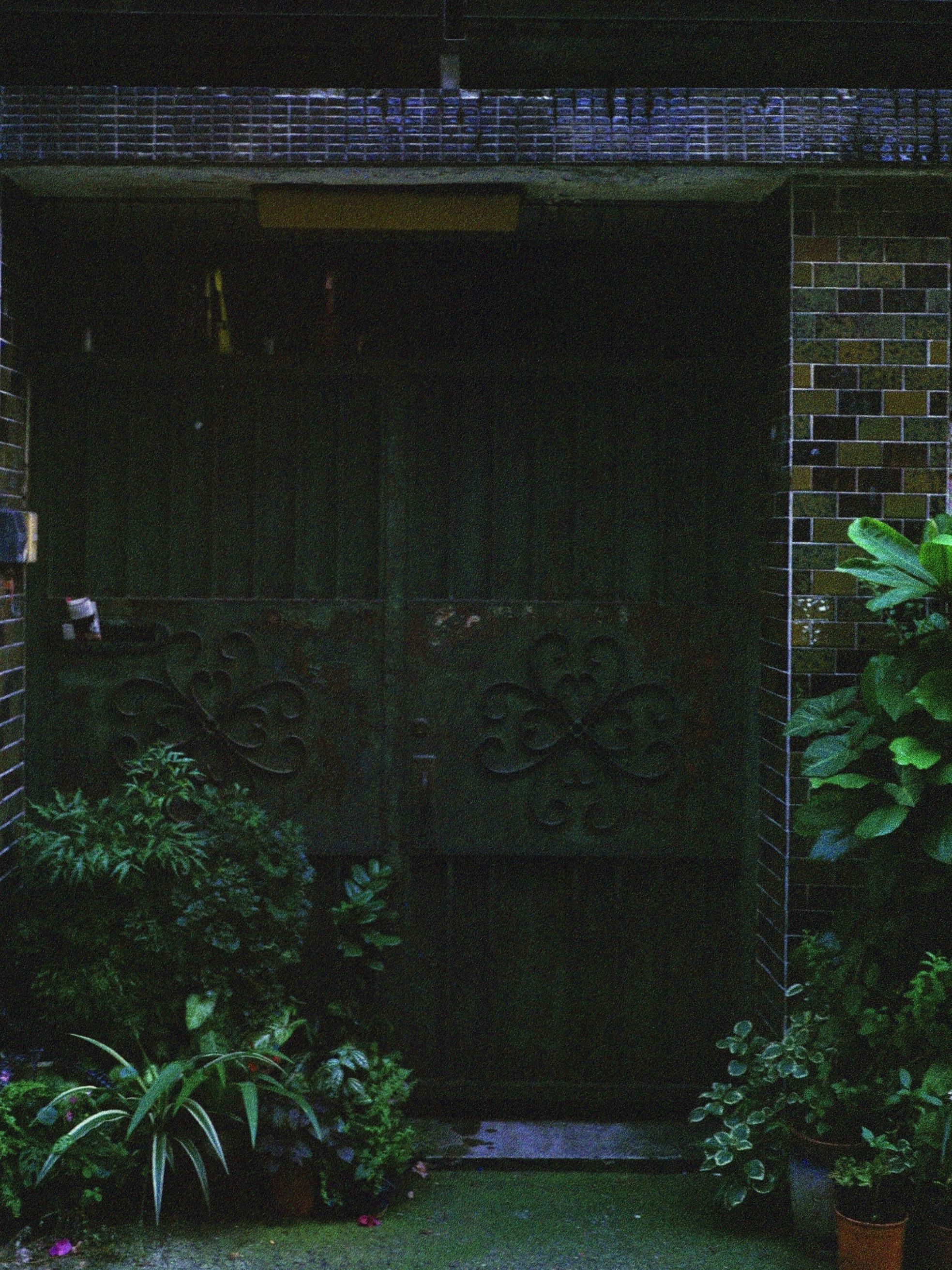 alley entrance with a wooden gate surrounded by plants