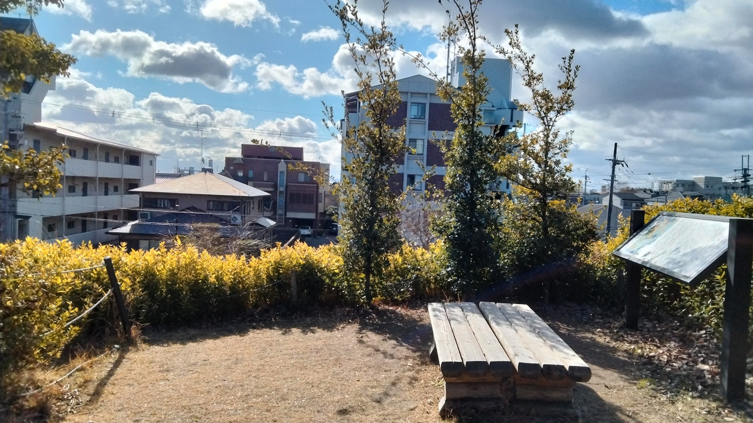 Parkansicht unter blauem Himmel Holzbank zwischen Pflanzen und Bäumen Gebäude in der Ferne