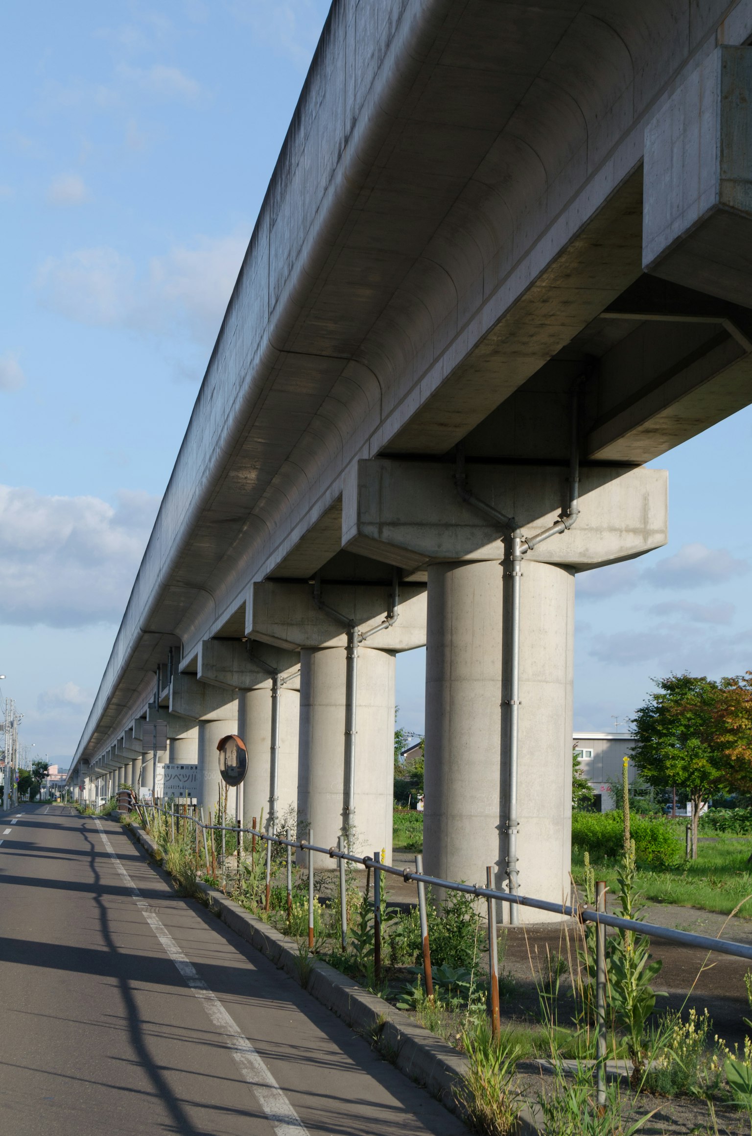 Betonsäulen, die eine erhöhte Straße stützen, mit einem grasbewachsenen Weg darunter