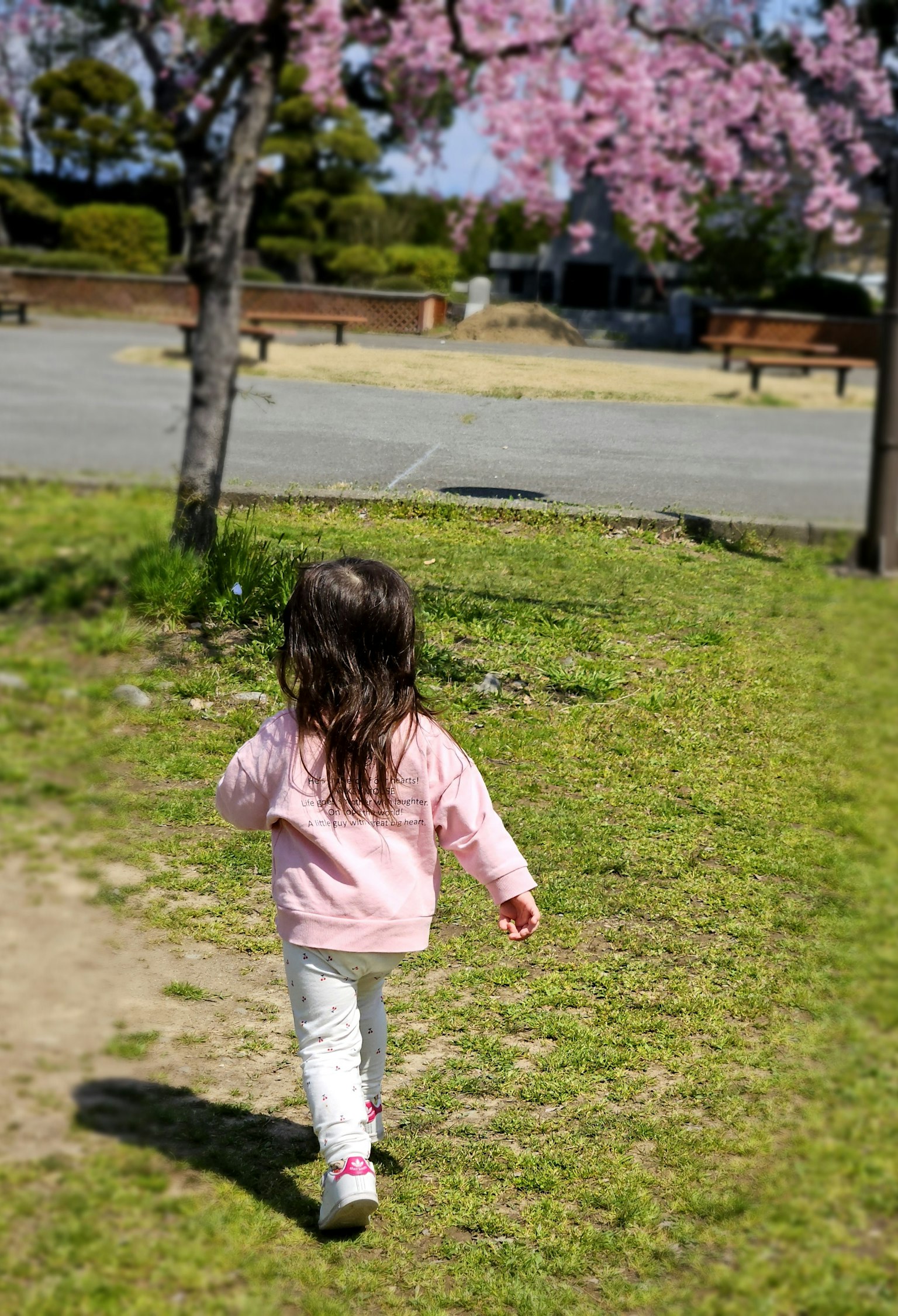 Bambina che cammina sotto un albero di ciliegio