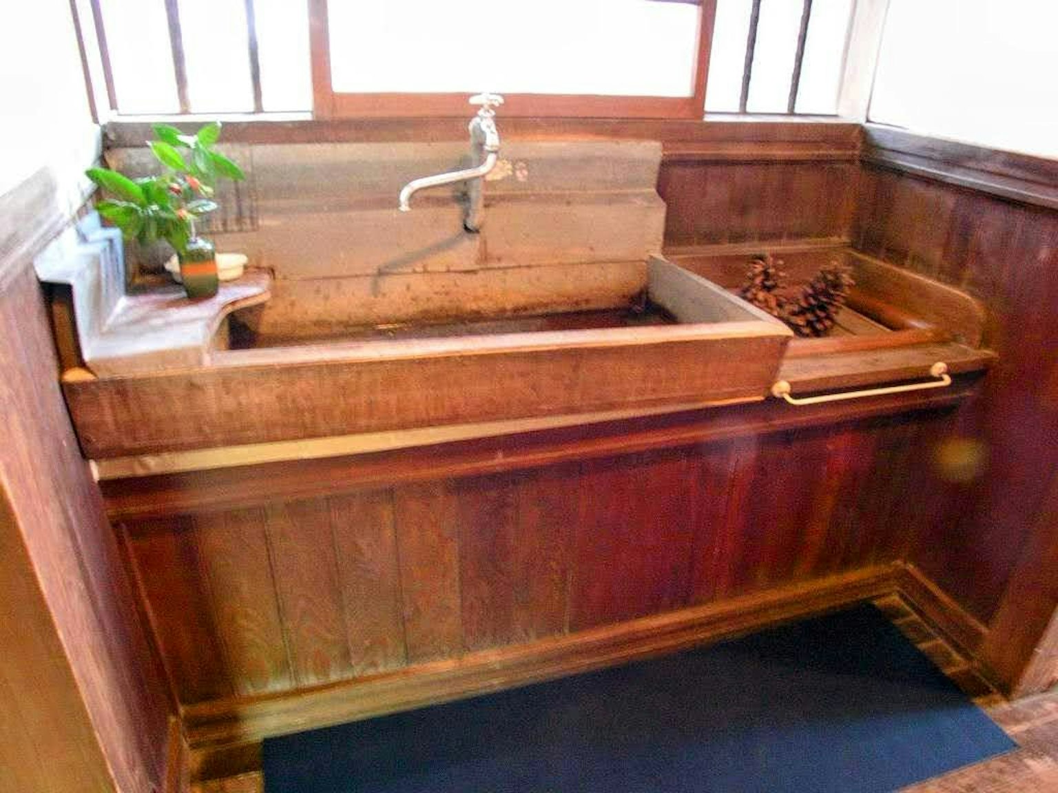 Scena interna con lavabo in legno e piano di lavoro con una piccola pianta