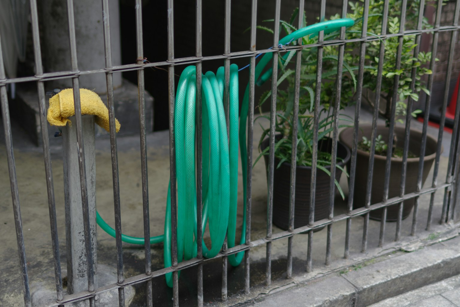 Selang taman hijau melilit antara batang logam dengan tanaman pot dan objek mirip pisang