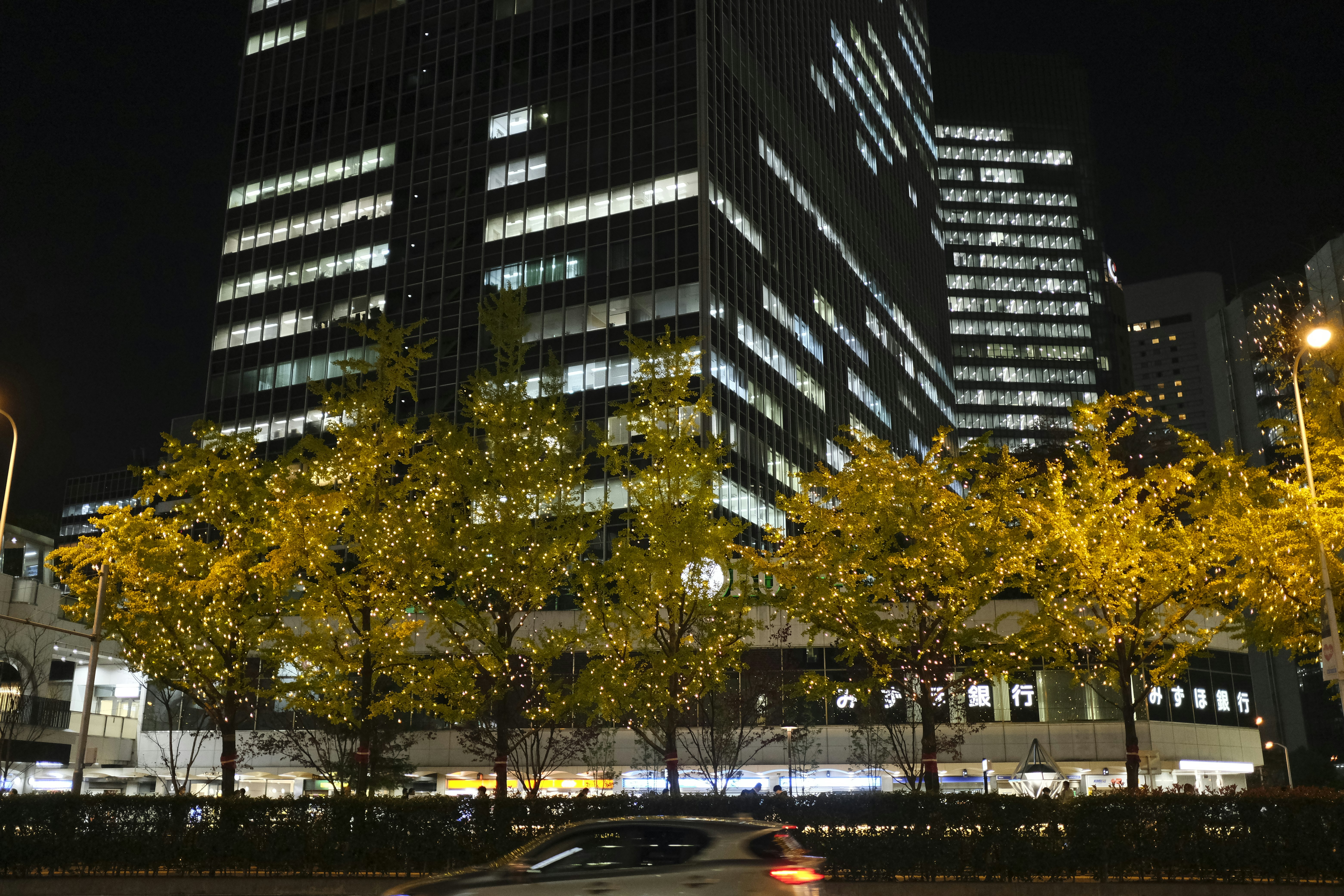夜の街路樹と高層ビルが並ぶオフィス街の風景