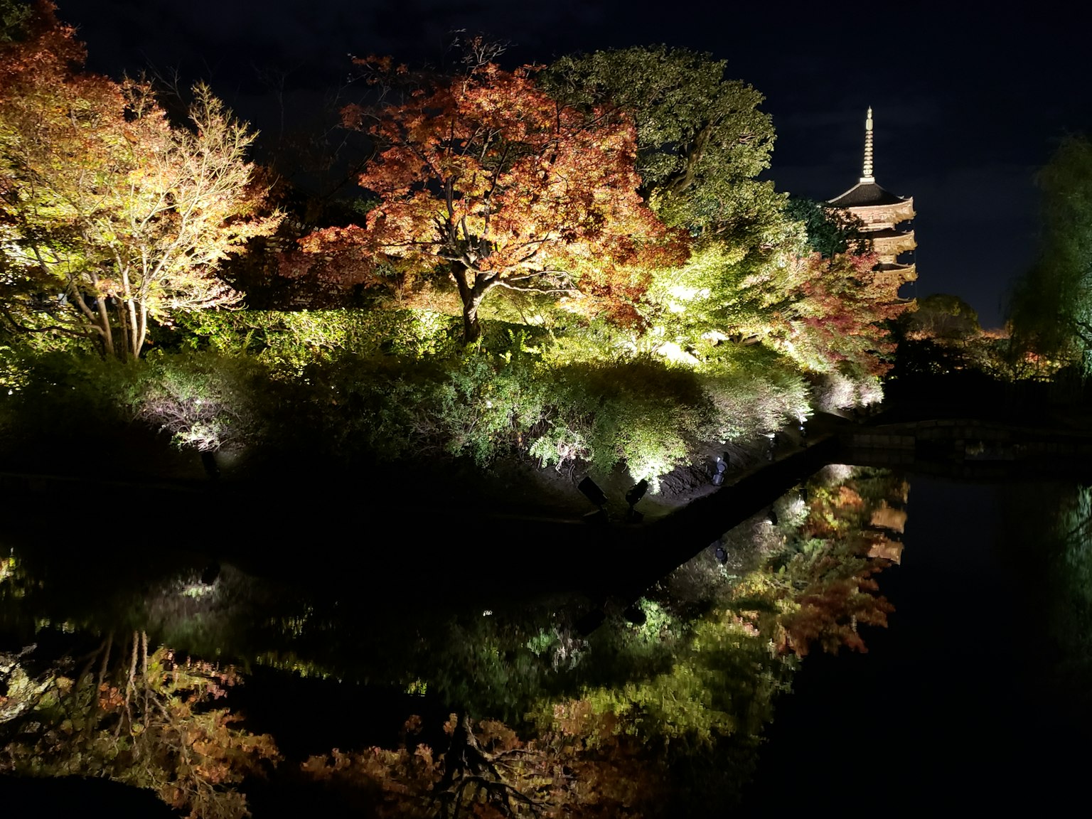 Illuminated autumn foliage and serene pond in a night garden