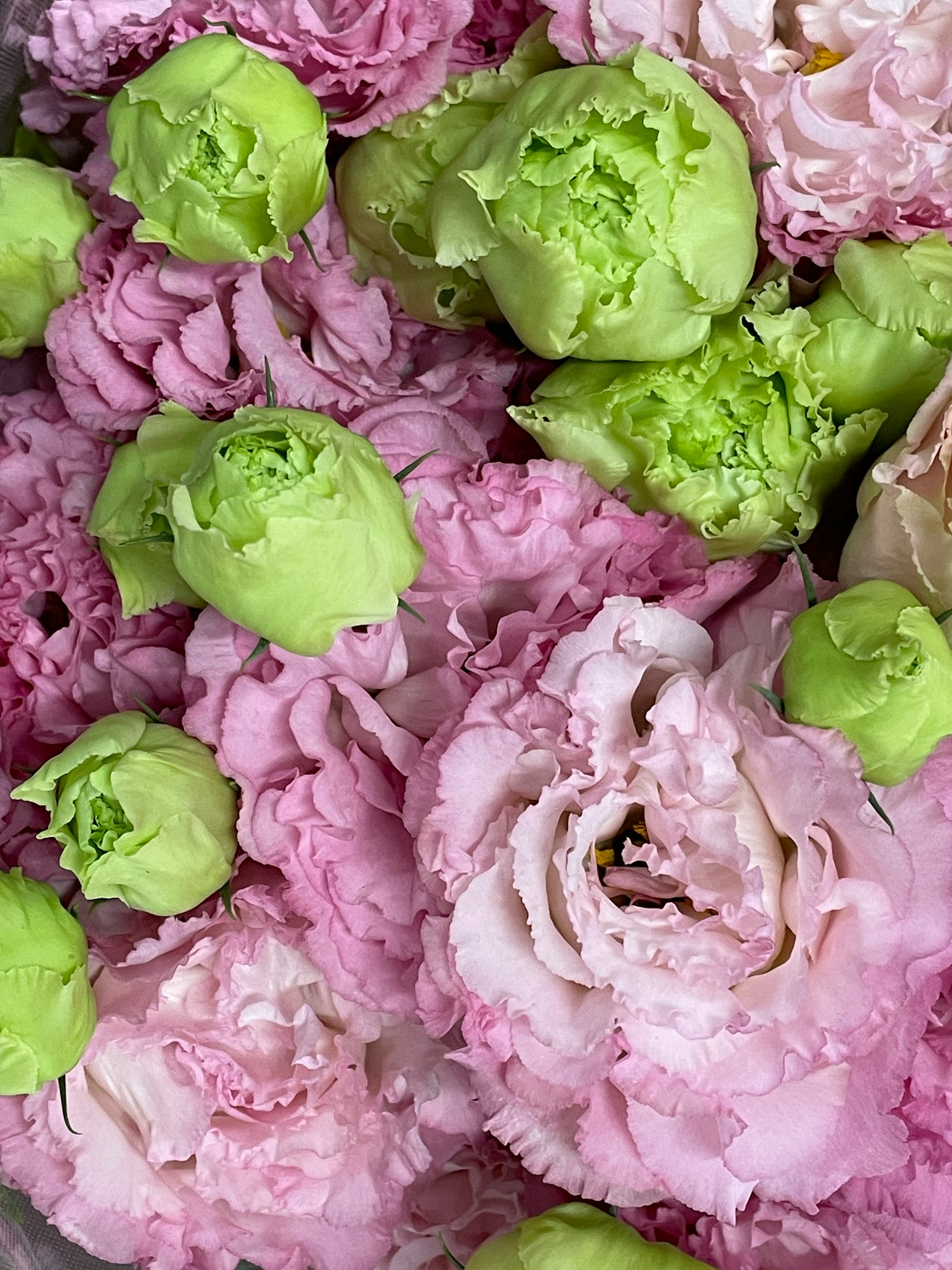 Un arrangiamento floreale con fiori rosa e verdi