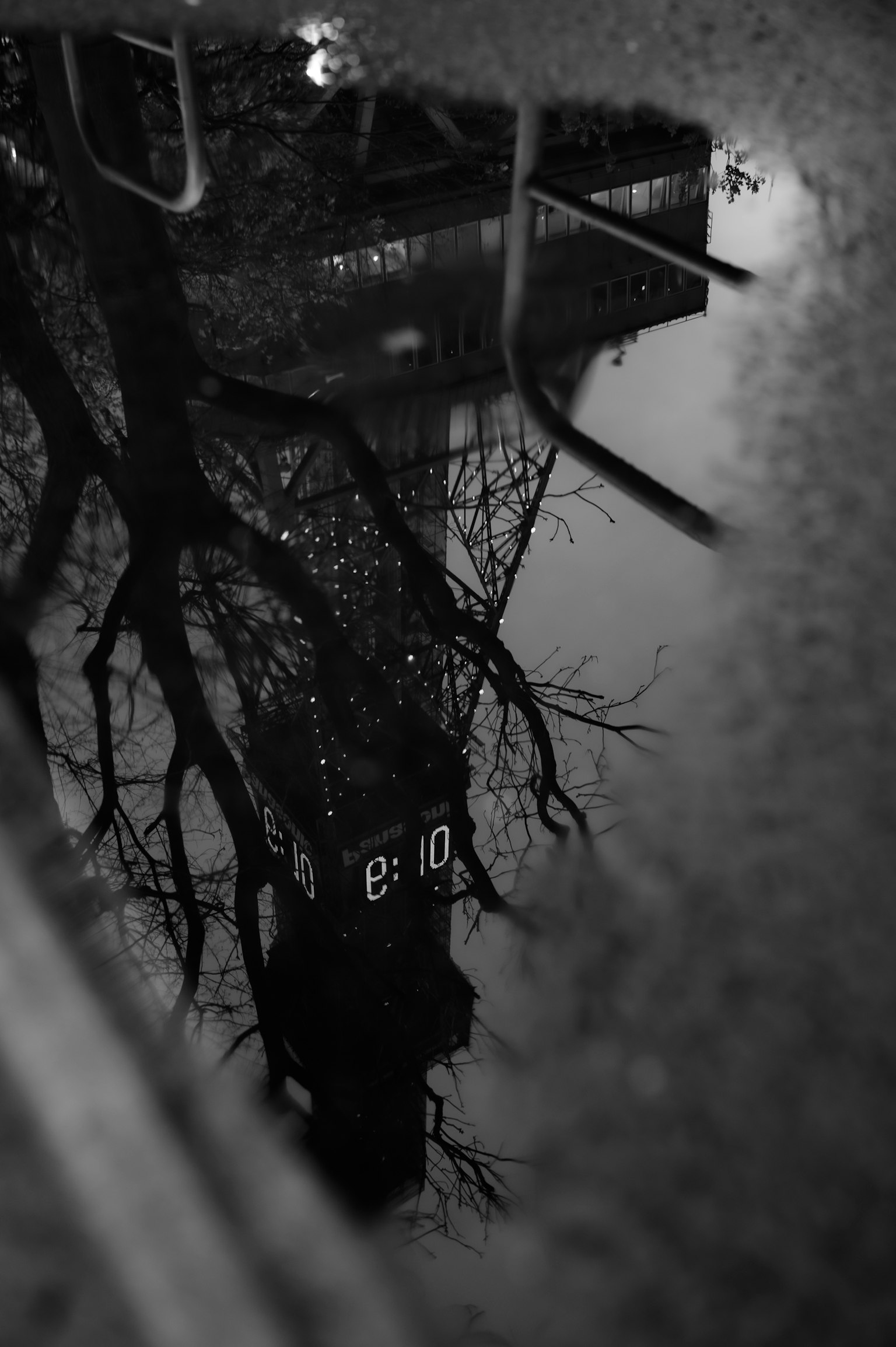 水洼中钟楼和树的倒影