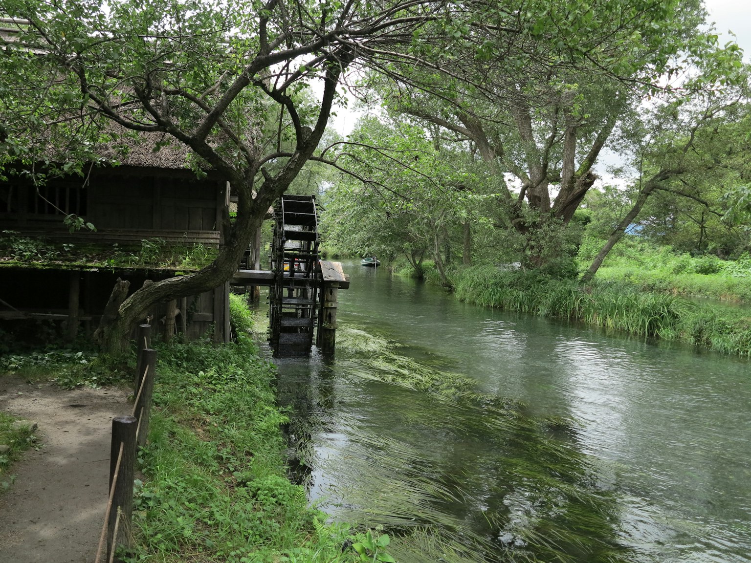Vue pittoresque d'une rivière avec une roue à eau et une végétation luxuriante