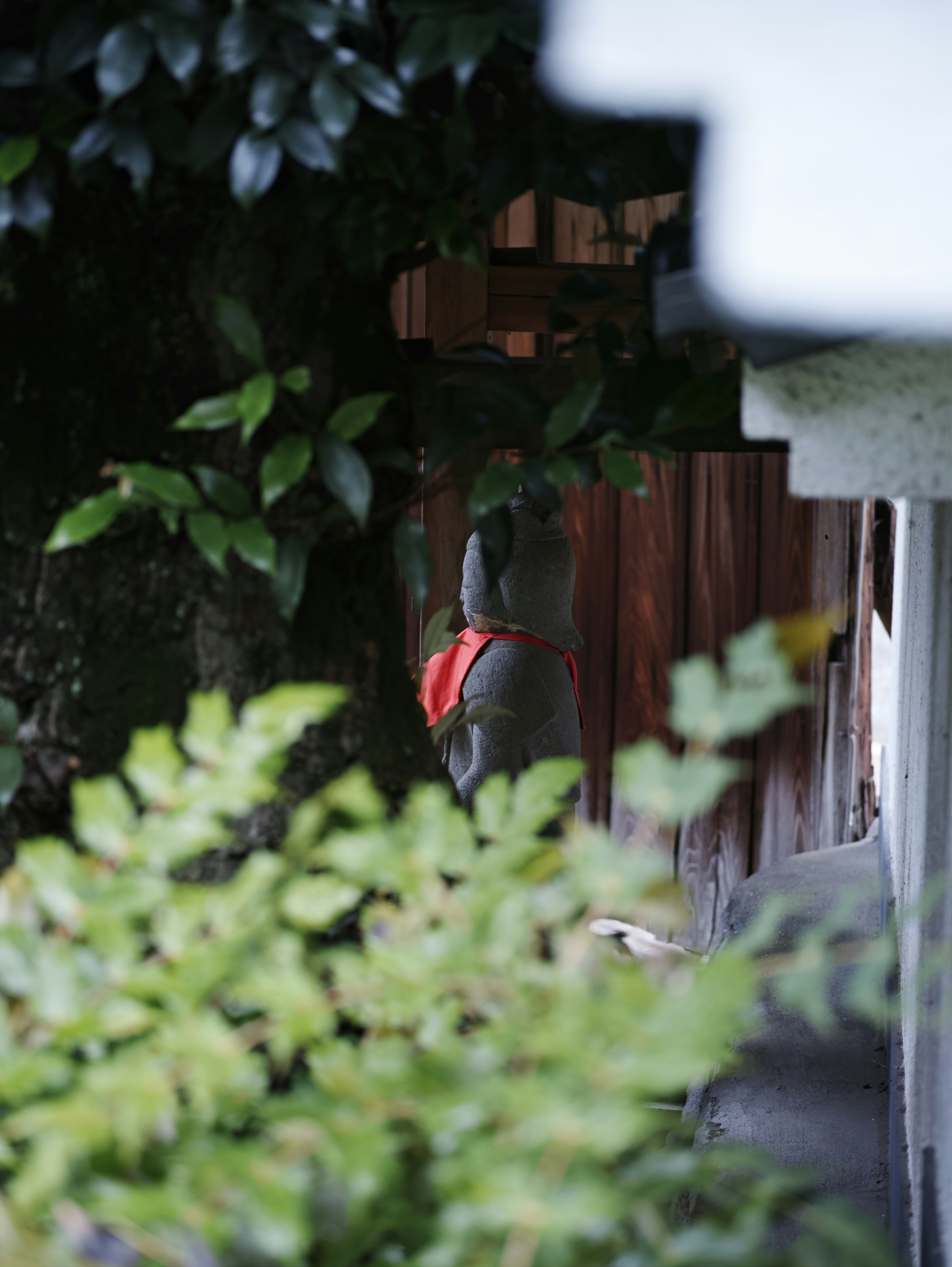 木製の柵と植栽に囲まれた小さな花壇のある路地