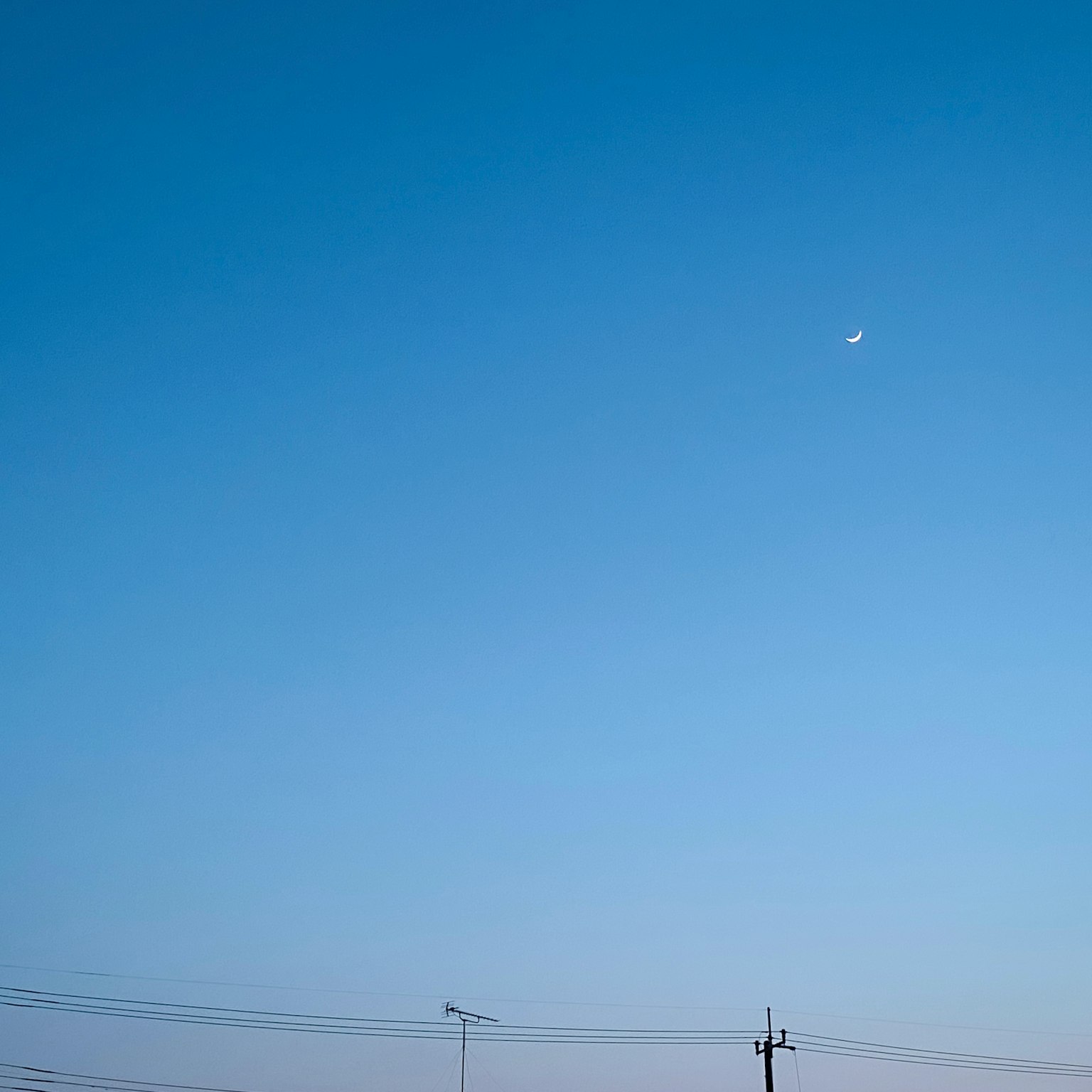 photo-7mF5haAoGBdyXFUaJ6K4-image