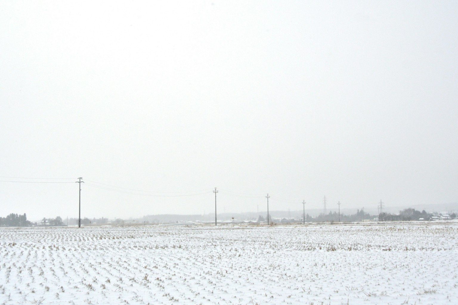 广阔的雪景和可见的电线杆
