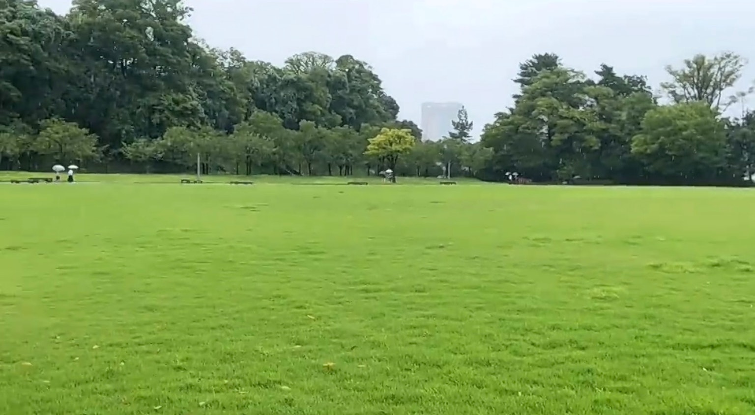 郁郁葱葱的公园场景，远处有人