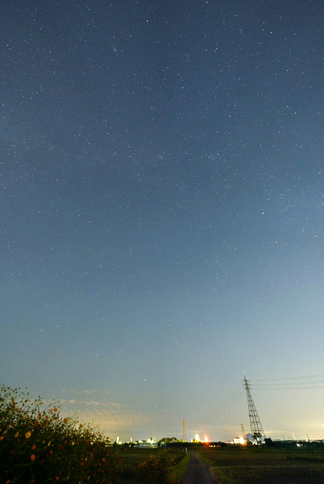 Campos de cultivo de otoño bajo un cielo estrellado con una torre a lo lejos