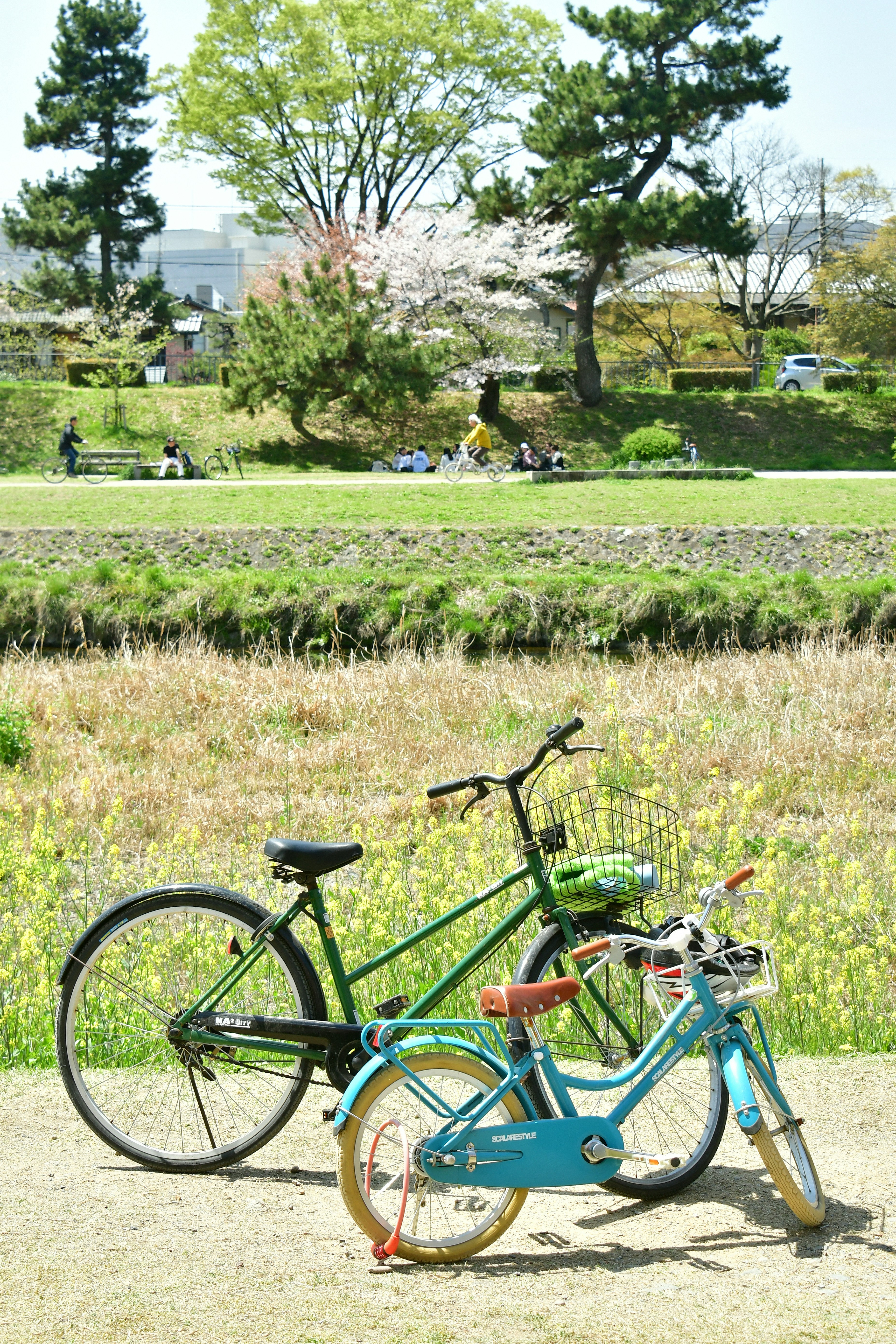 公園の緑の背景に置かれた緑と青の自転車の写真
