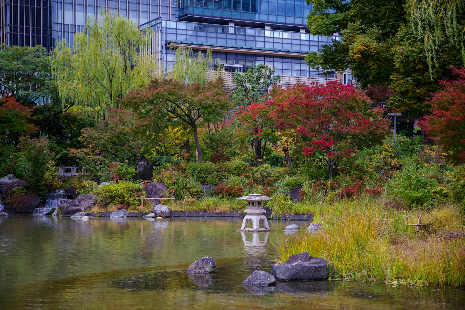 Serene Japanese garden landscape featuring a pond and colorful foliage