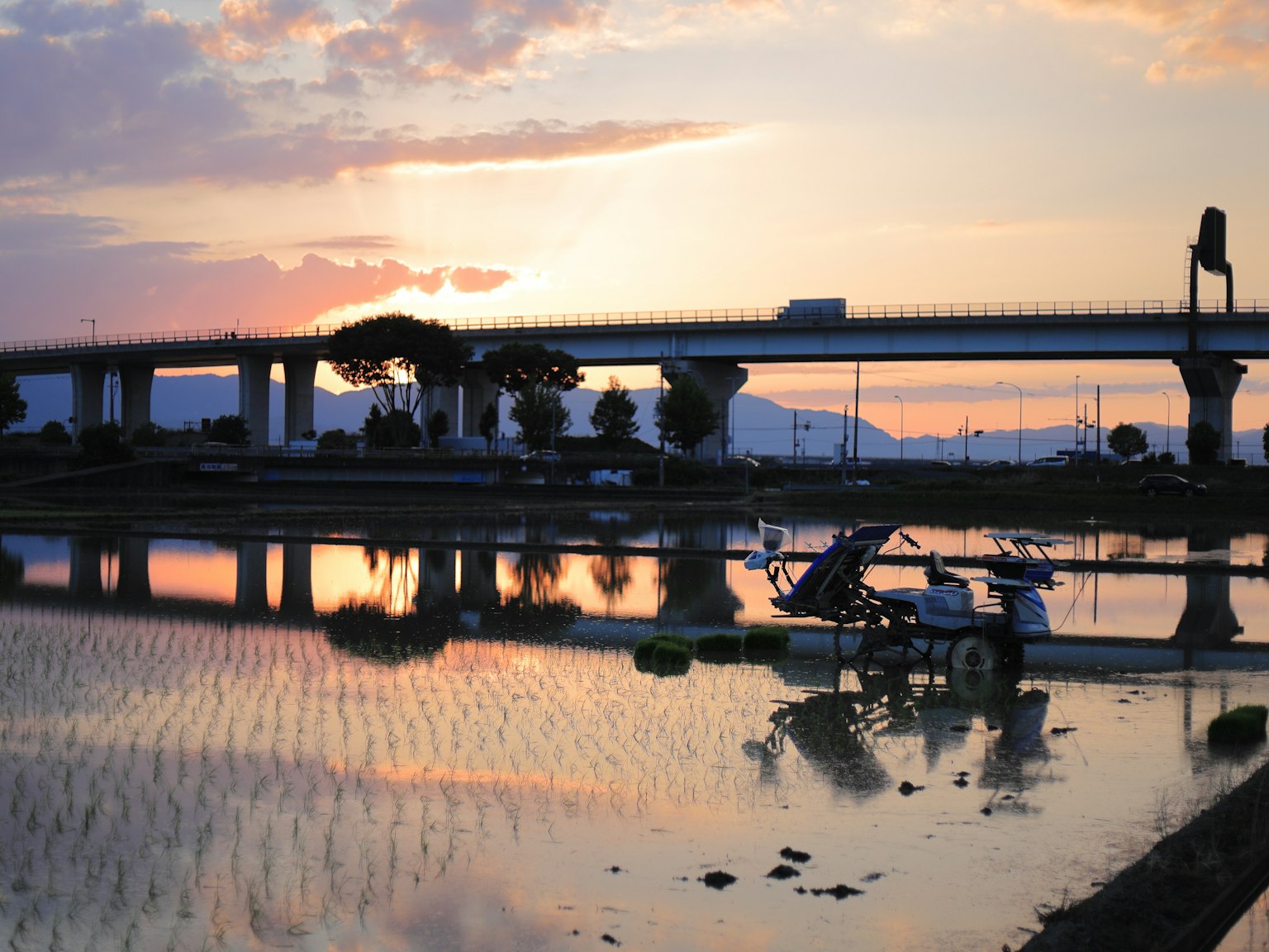 夕焼けの空と水田の反射が美しい風景 橋と農機具が見える