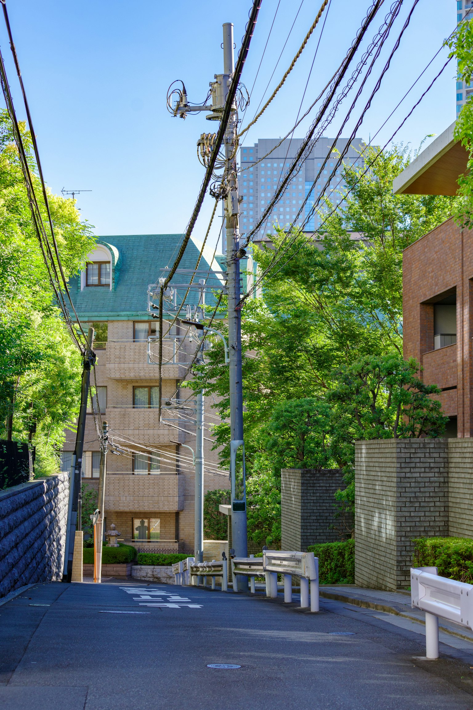 被绿色树木环绕的安静街道场景，有建筑和电线杆