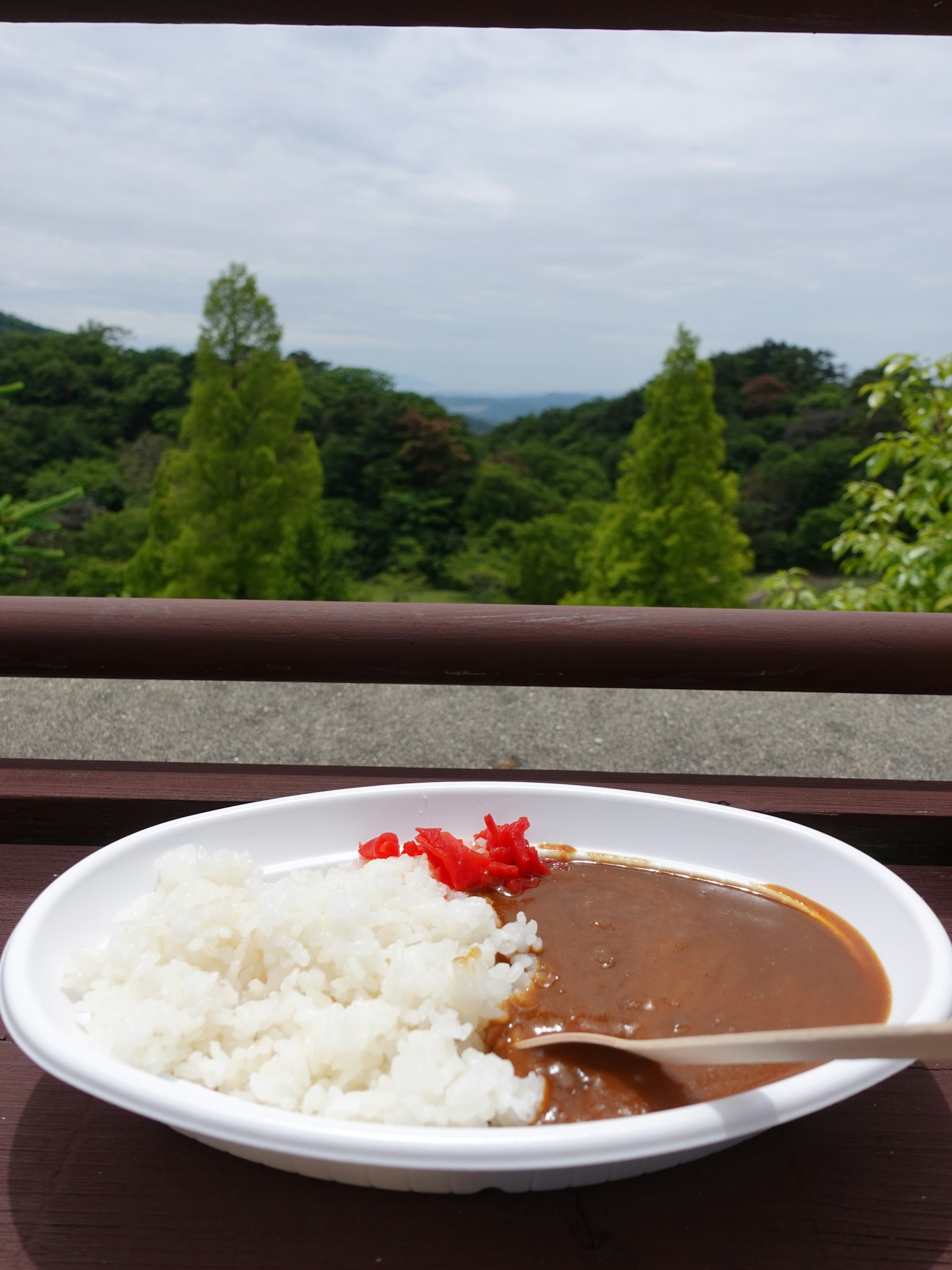 Bowl of curry rice with a scenic landscape in the background