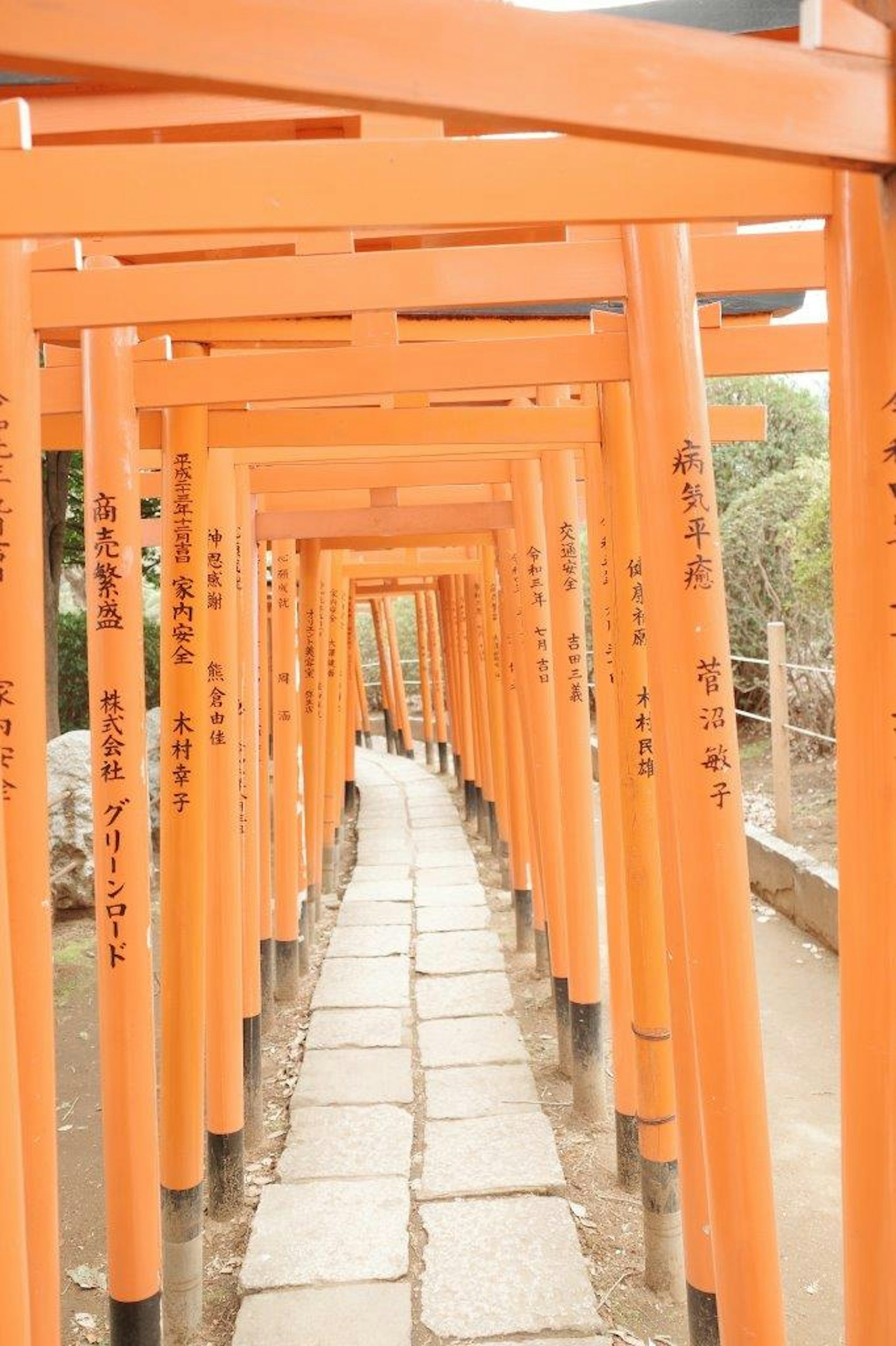 一条两侧有鲜艳橙色鸟居的路径