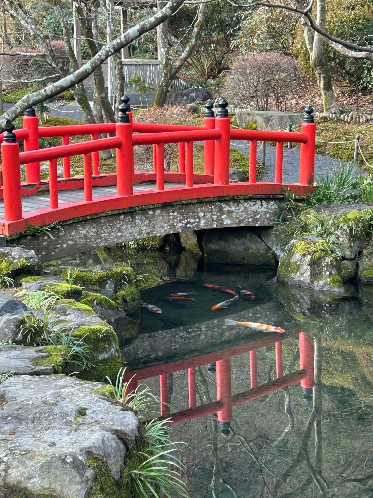 Bella scena di giardino giapponese con un ponte rosso che si riflette nell'acqua