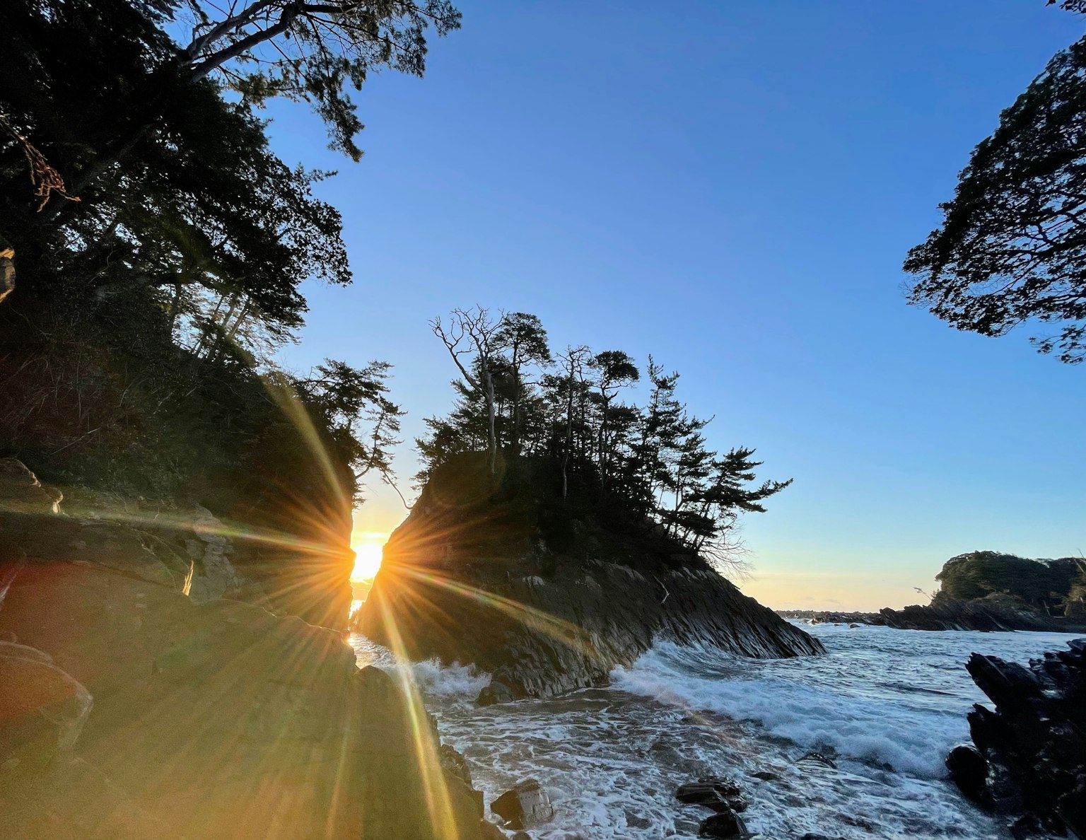 Belle scène côtière avec coucher de soleil et vagues visibles à travers les arbres