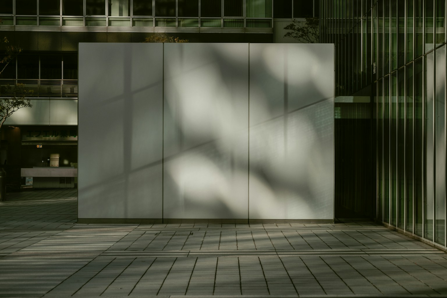 Modern building exterior with a white wall and shadow patterns