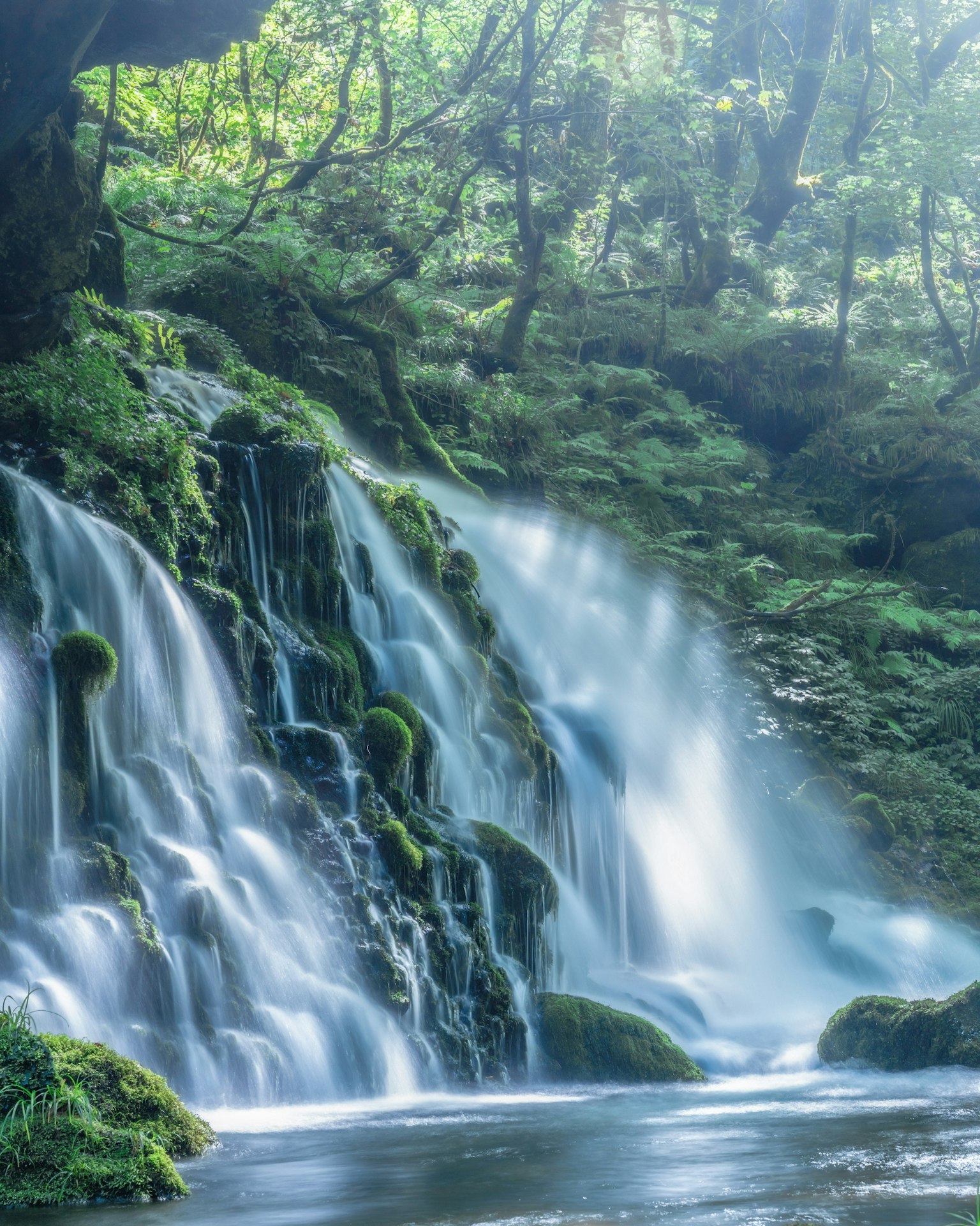 Pemandangan air terjun yang indah dikelilingi hutan hijau lebat
