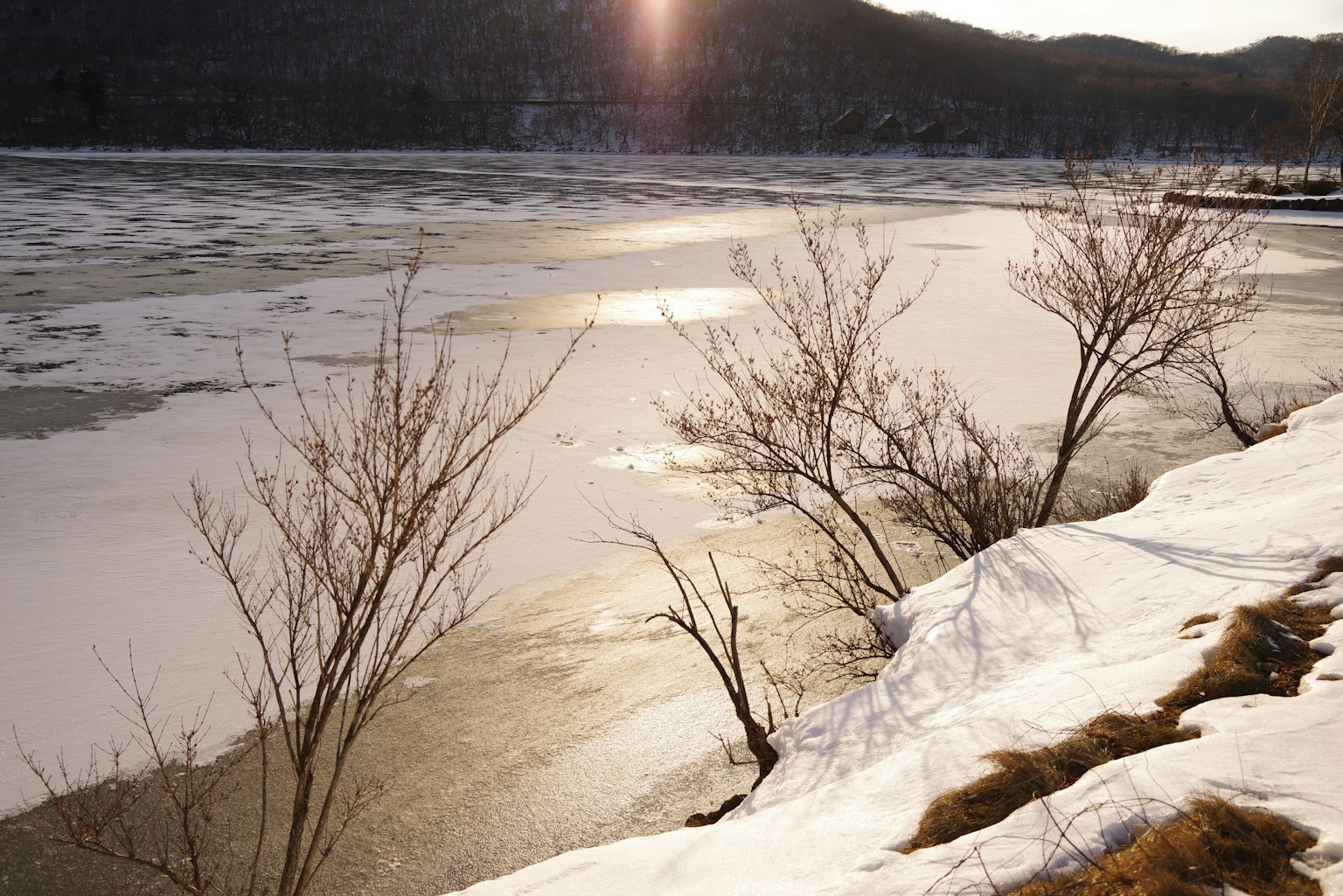 被雪覆盖的海岸和冰冻湖泊 冬季日落的光反射